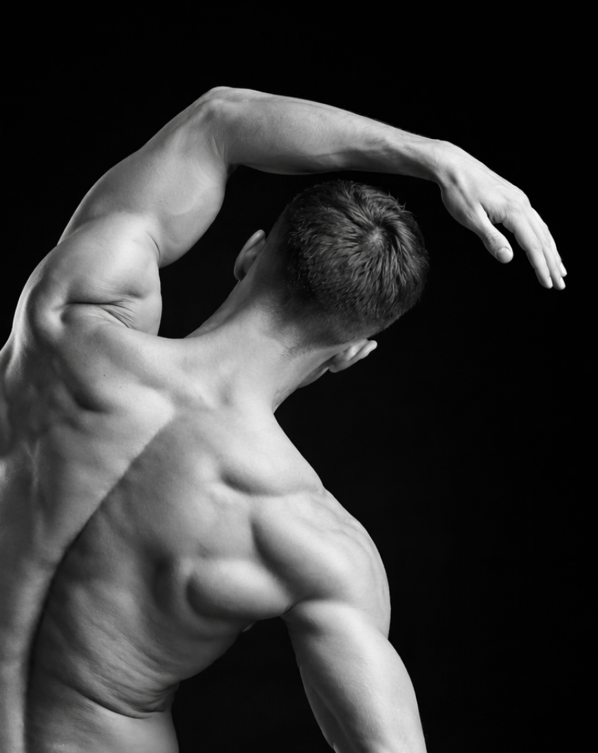 Human Anatomy + Physiology: A Very Brief Introduction