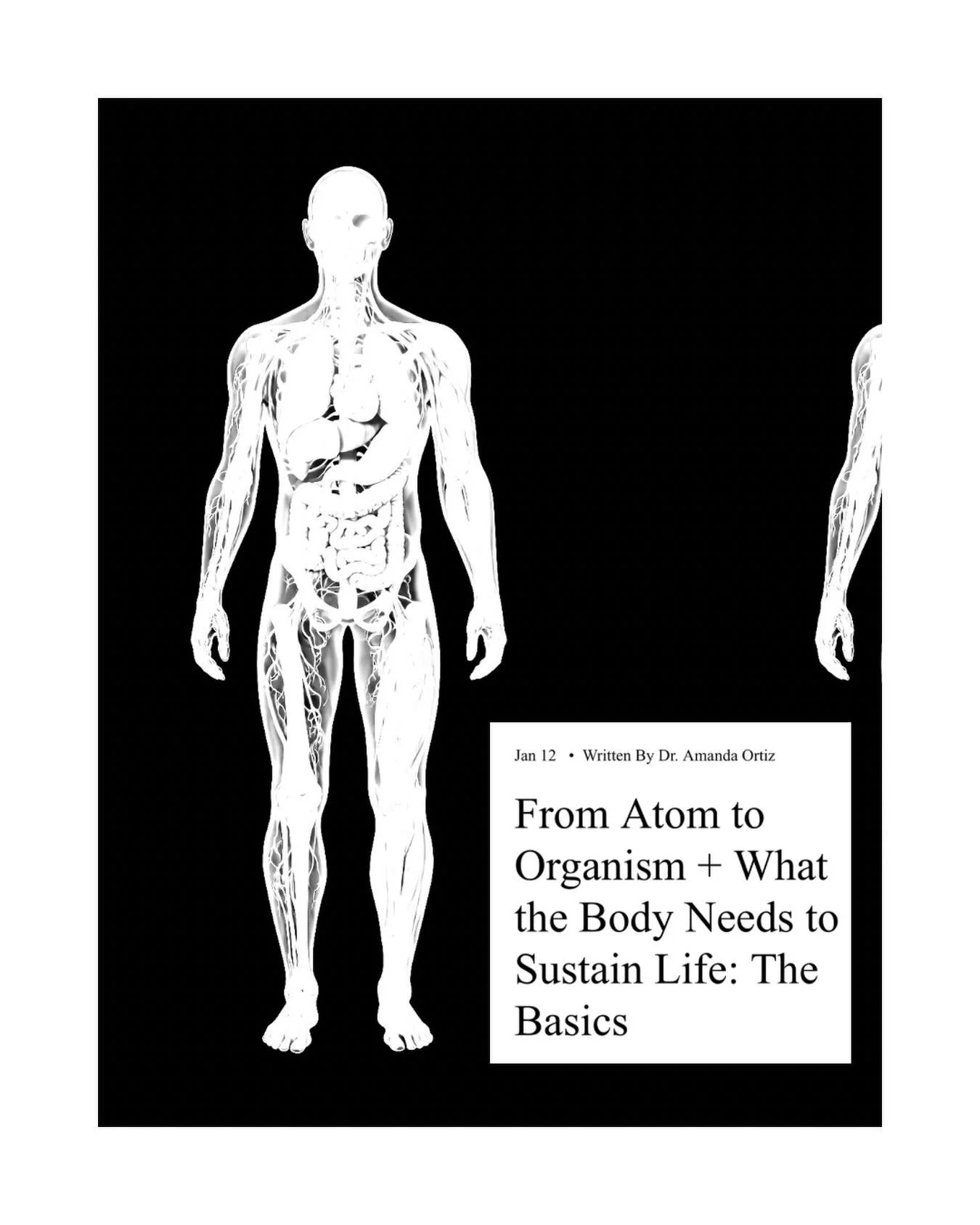 From Atom to Organism + What the Body Needs to Sustain Life: The Basics 🤍 

To read the full post, please visit www.dramandaortiz.com or click the &ldquo;journal&rdquo; link in my bio. 🤍🤍 

Image generated using AI.