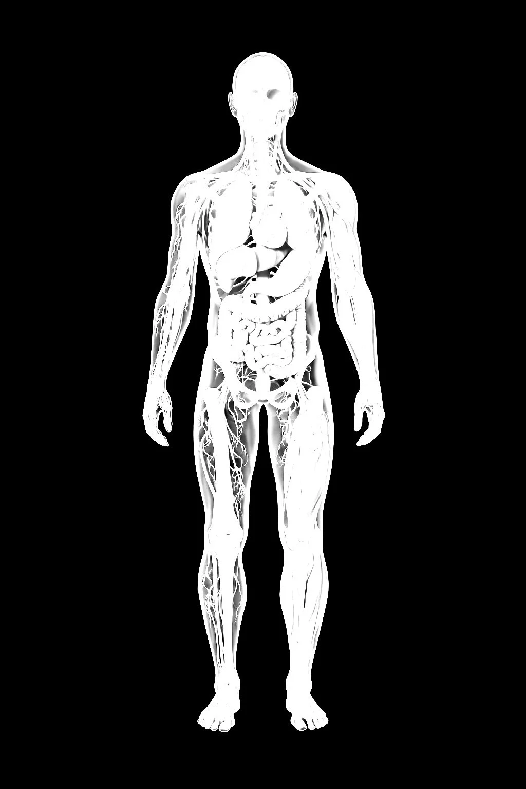 human body on black background