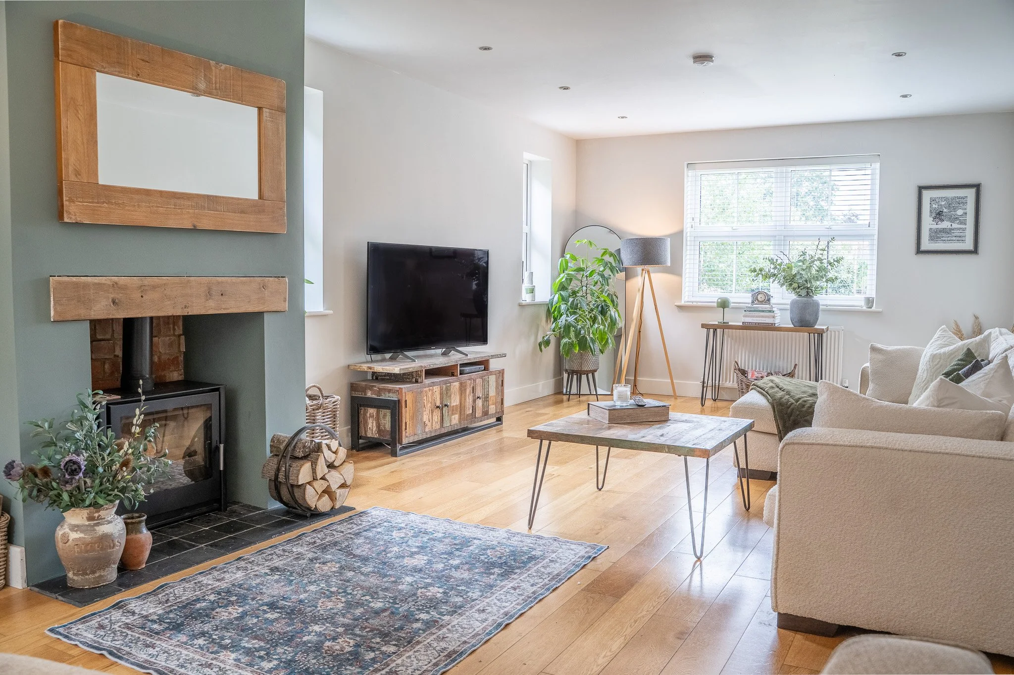 Living room with a television, fireplace, and window, decorated with plants, a lamp, and a cozy sofa.