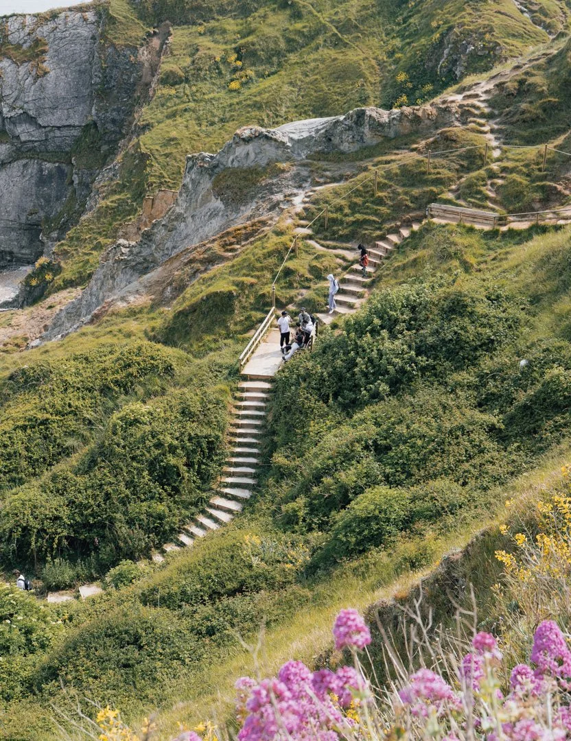 A winding outdoor staircase on a hillside with lush green bushes and pink flowers in the foreground, and a rocky cliff in the background, with several people walking along the staircase.
