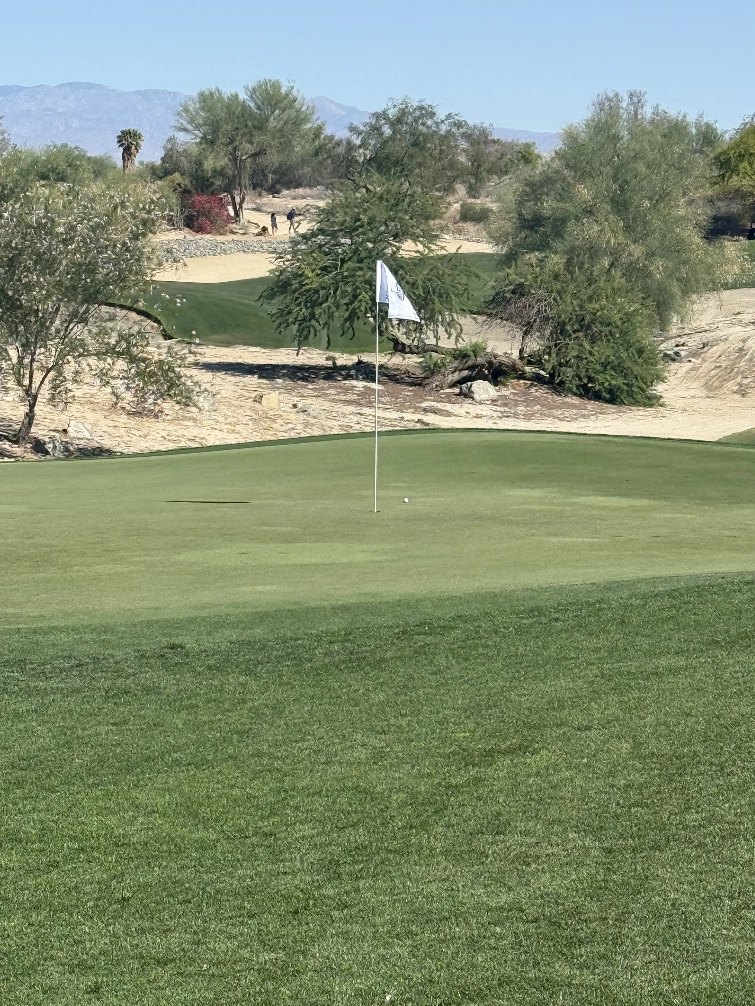 A golf course with green grass, a flag stick, and a golf ball, surrounded by trees, with a desert-like landscape and mountains in the background.