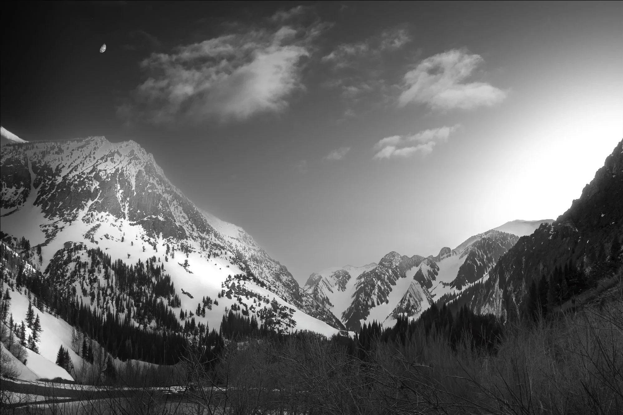 Winter's Last Light
