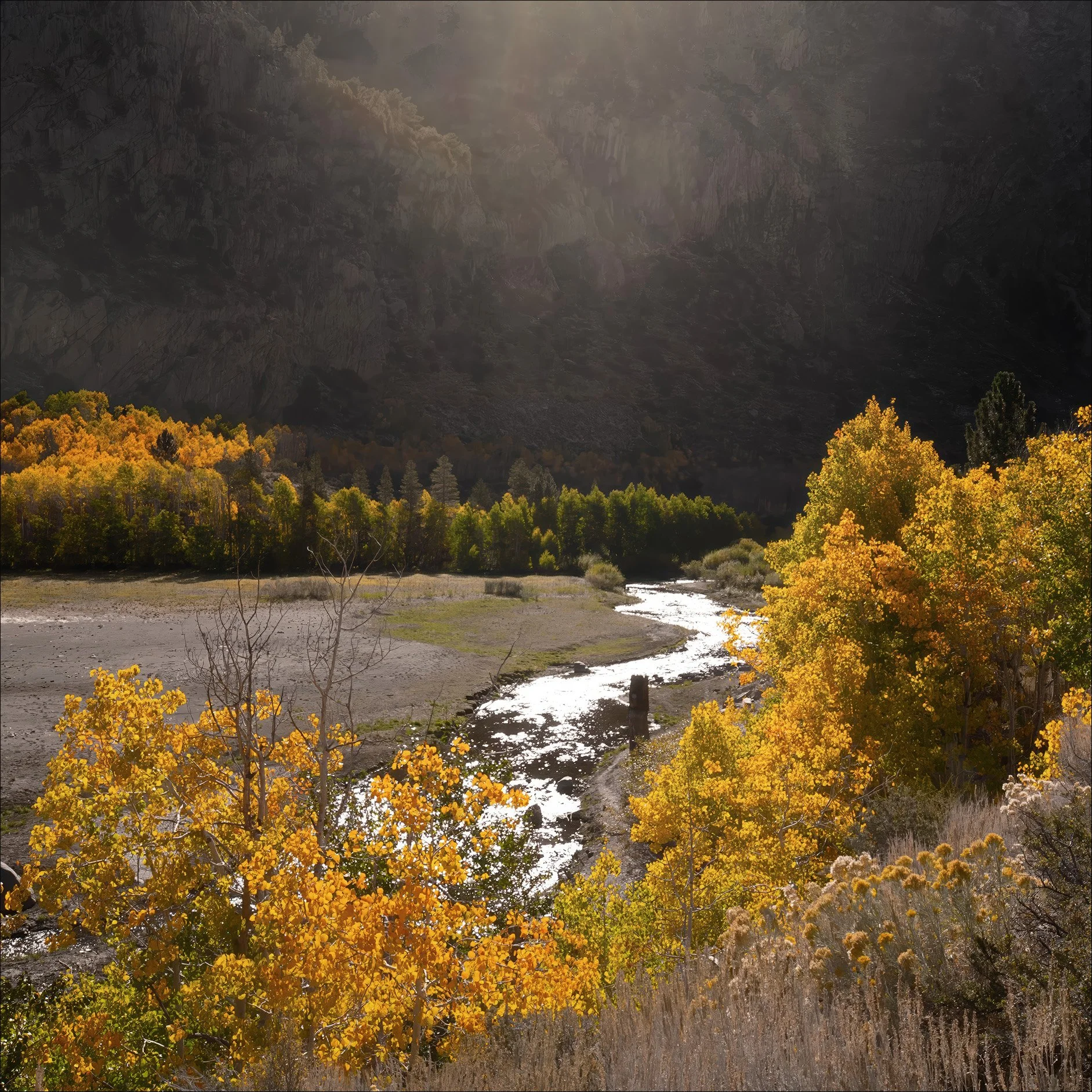 June Lake Loop-WebAd.jpg