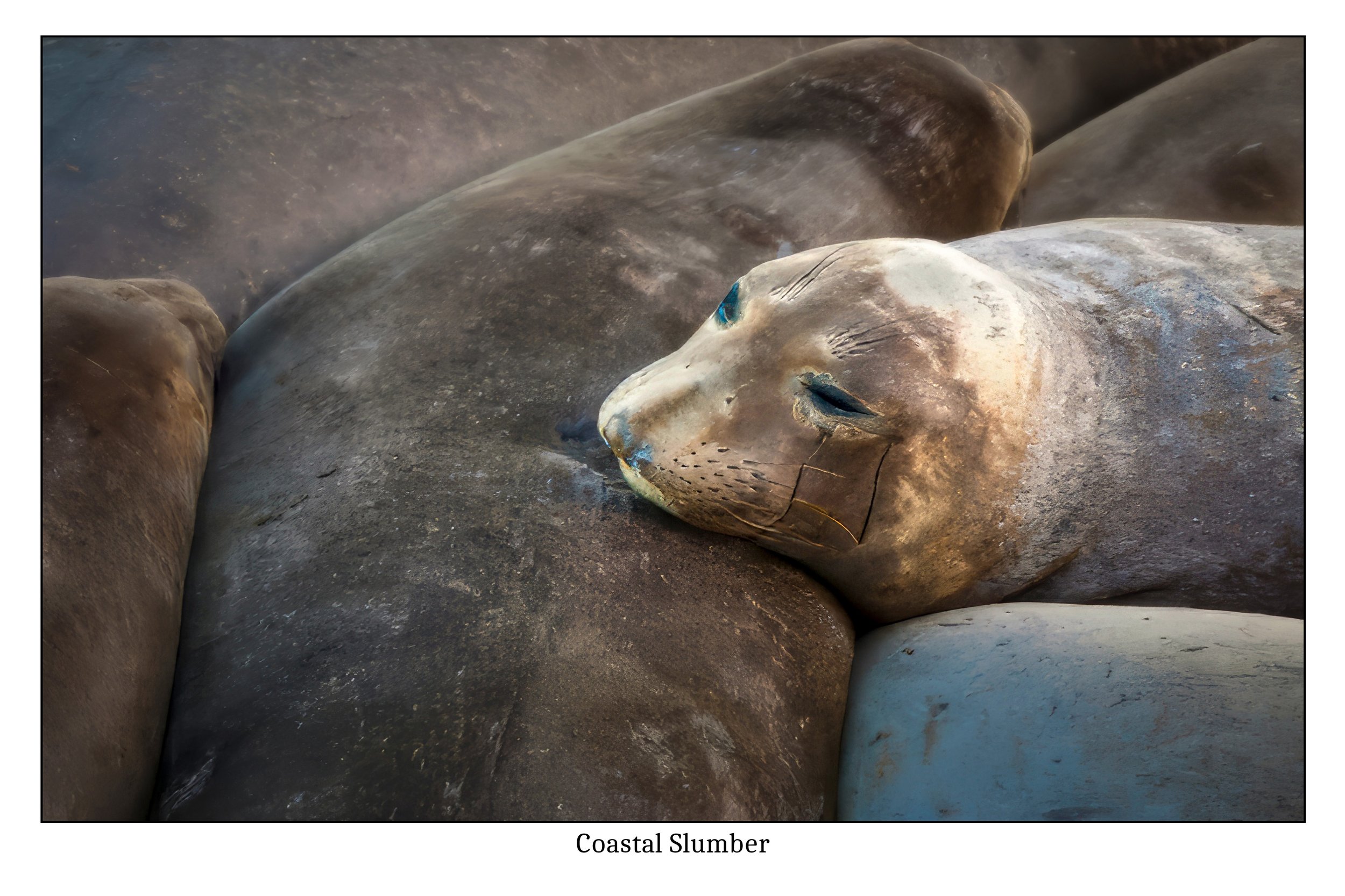 Coastal Slumber-16x24-4Print.jpg
