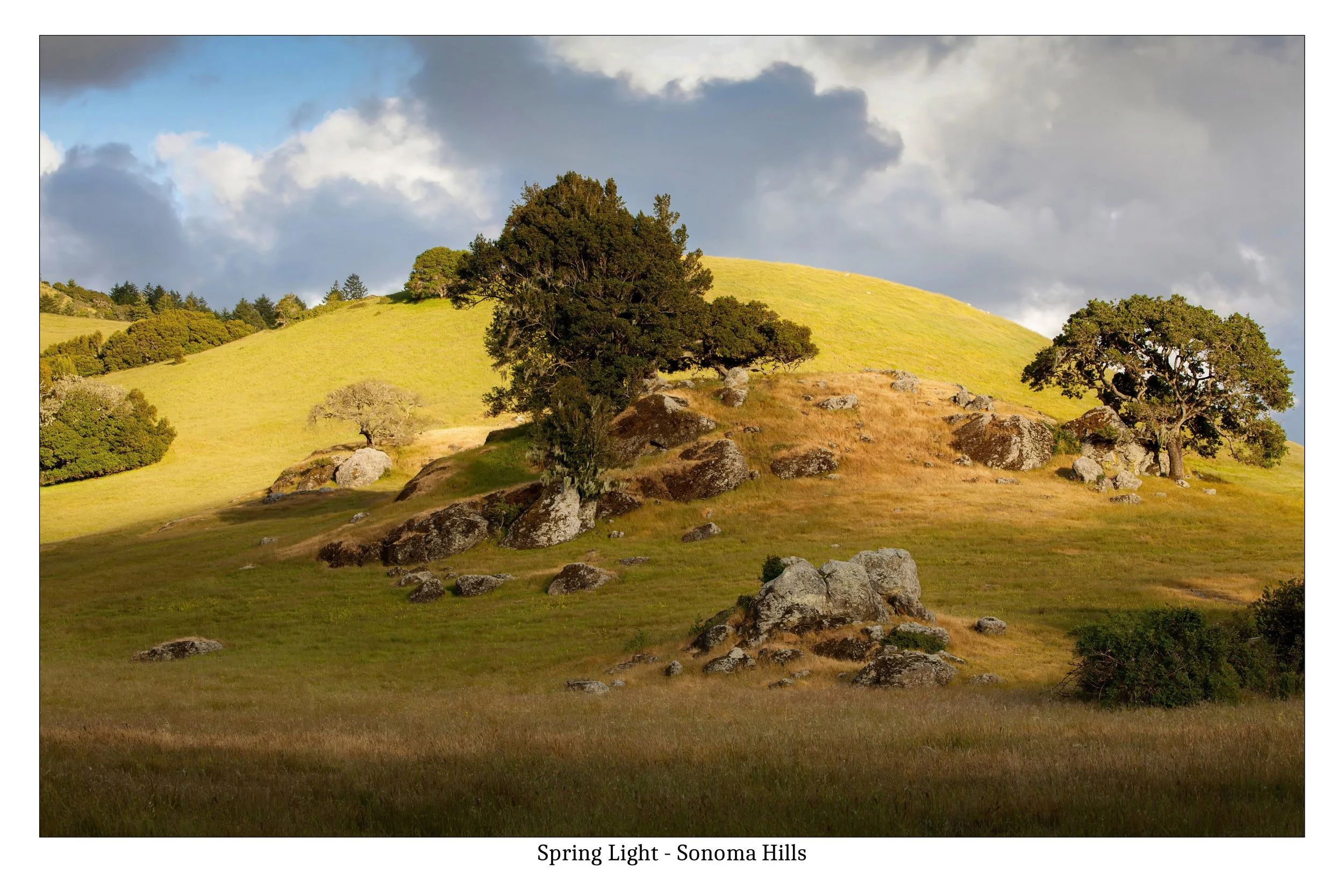 Spring Light Sonoma Hills-16x24-4Print.jpg