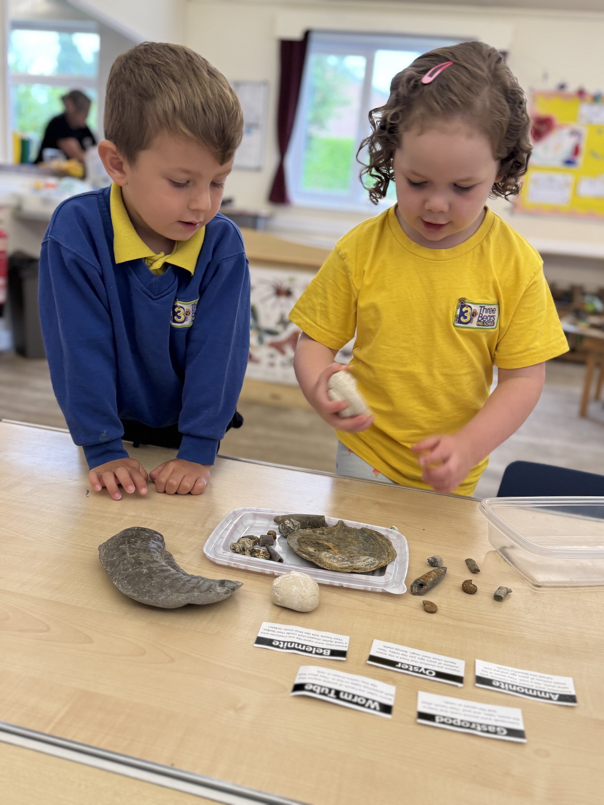 Two children in a classroom examining various fossils on a table, with educational labels and a window in the background.