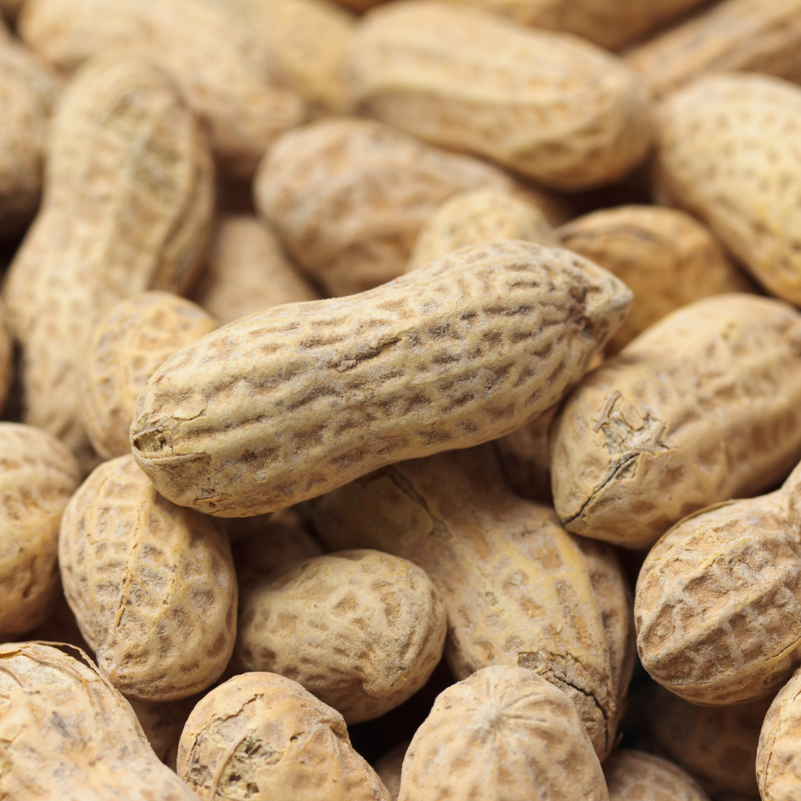 peanuts-sq-jlafoods.com.png