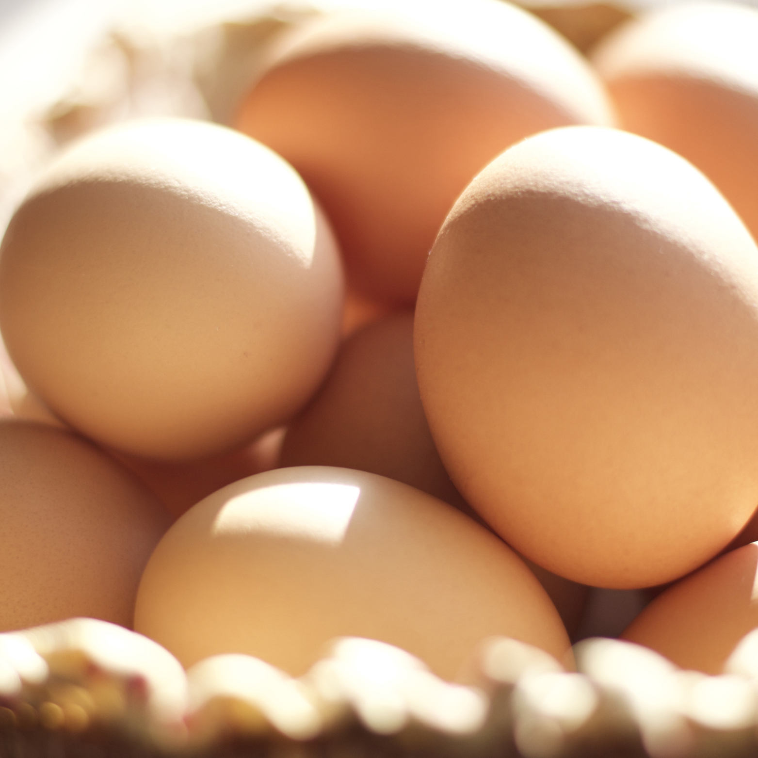 eggs-sq-jlafoods.com.png