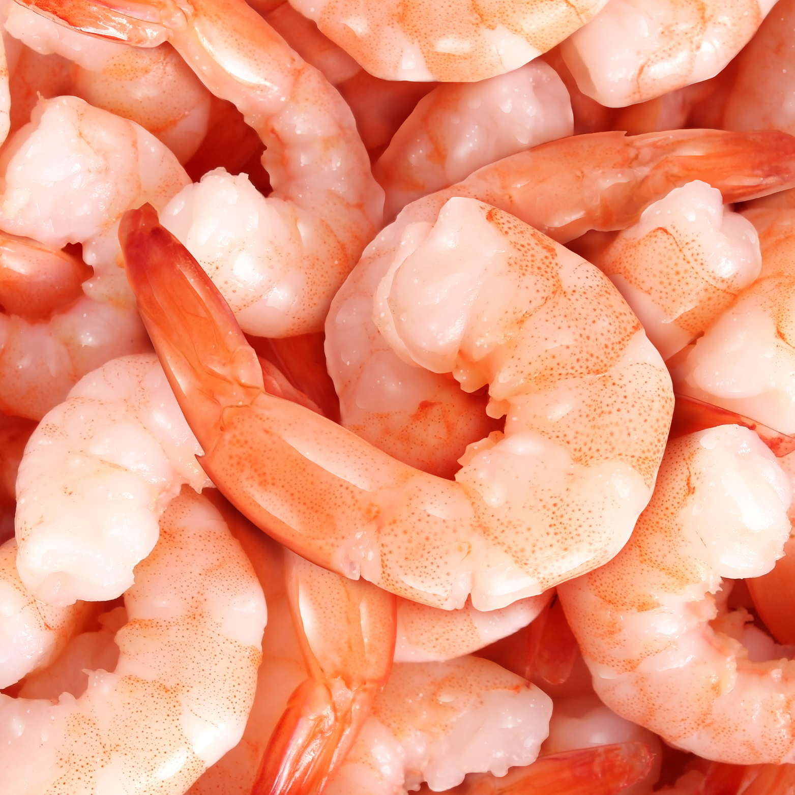 shrimp-jlafoods.com.png