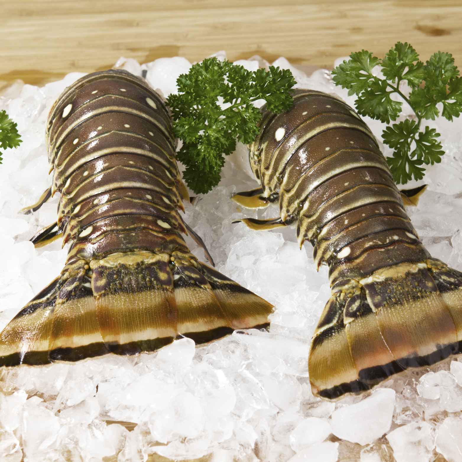lobster-jlafoods.com copy.png