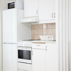 standard-kokdel-250.jpg