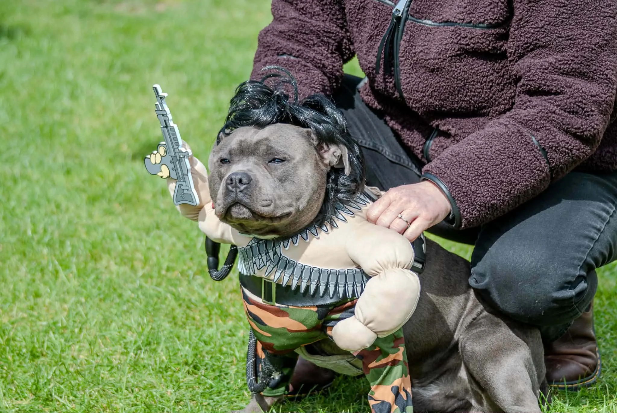 att.B-h-km8TwnOggV9Aezt3MVF4Tn4FGcDpWZNrmUUmGFA.JPG