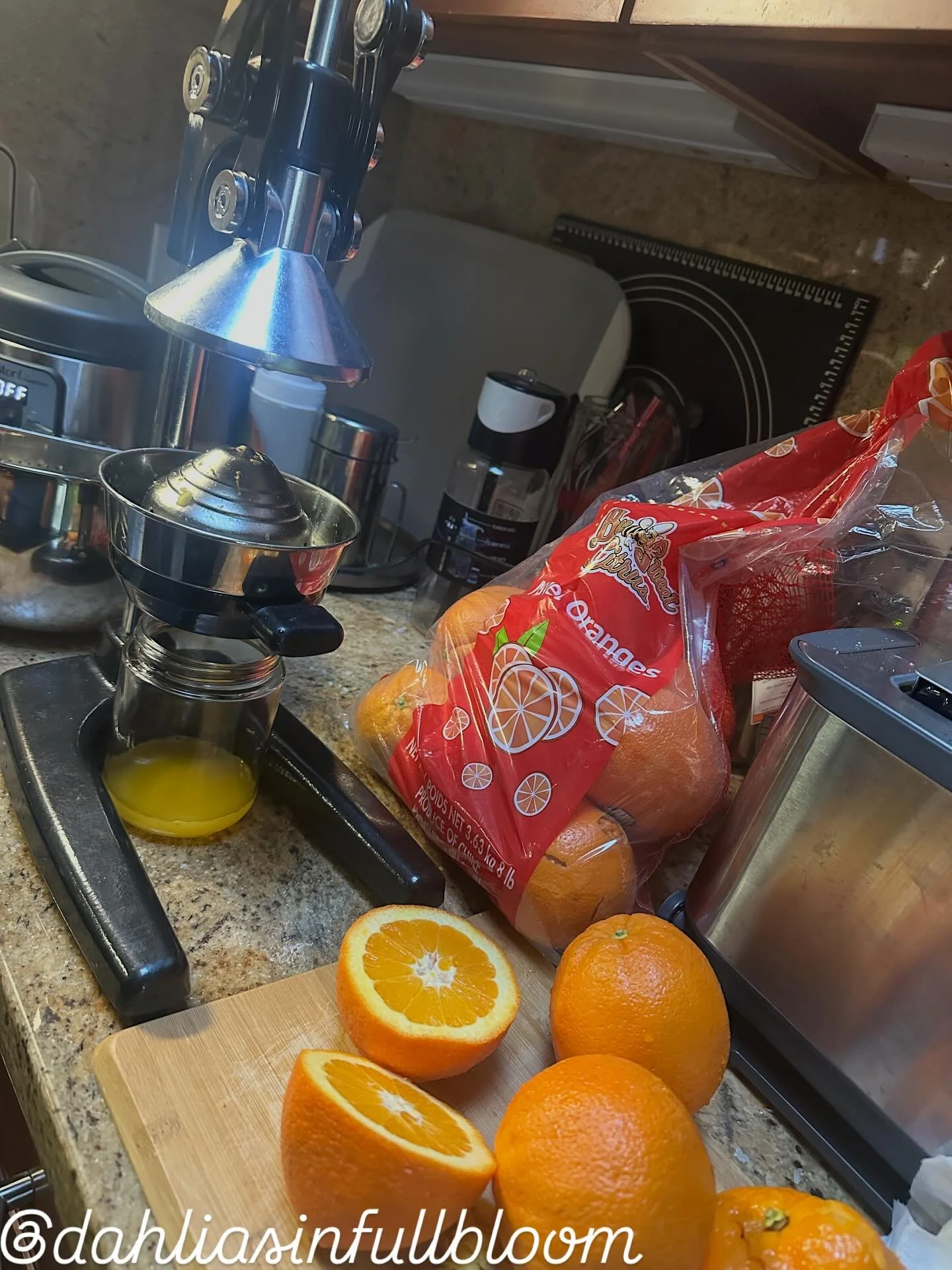 Not an art post, but maybe? 🤔 8lbs of Oranges got me 32 ish ounces of juice
Before you come for me about being influenced to get this manual juicer, I&rsquo;ve had it since 2019. But shoutout to @&ntilde;Small and Fragile Club on TikTok for getting 