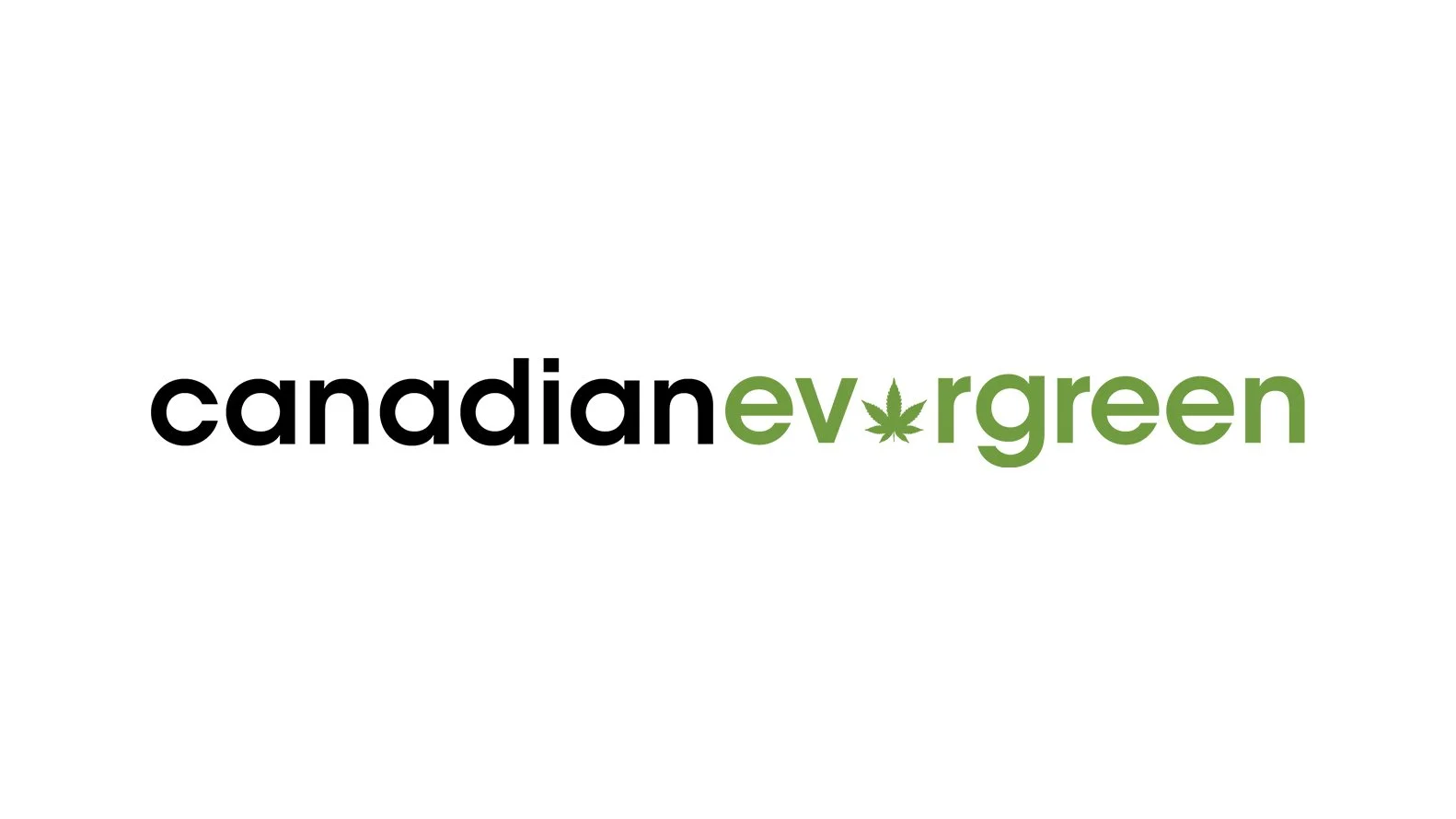 Gallery_CanadianEvergreen1.jpg