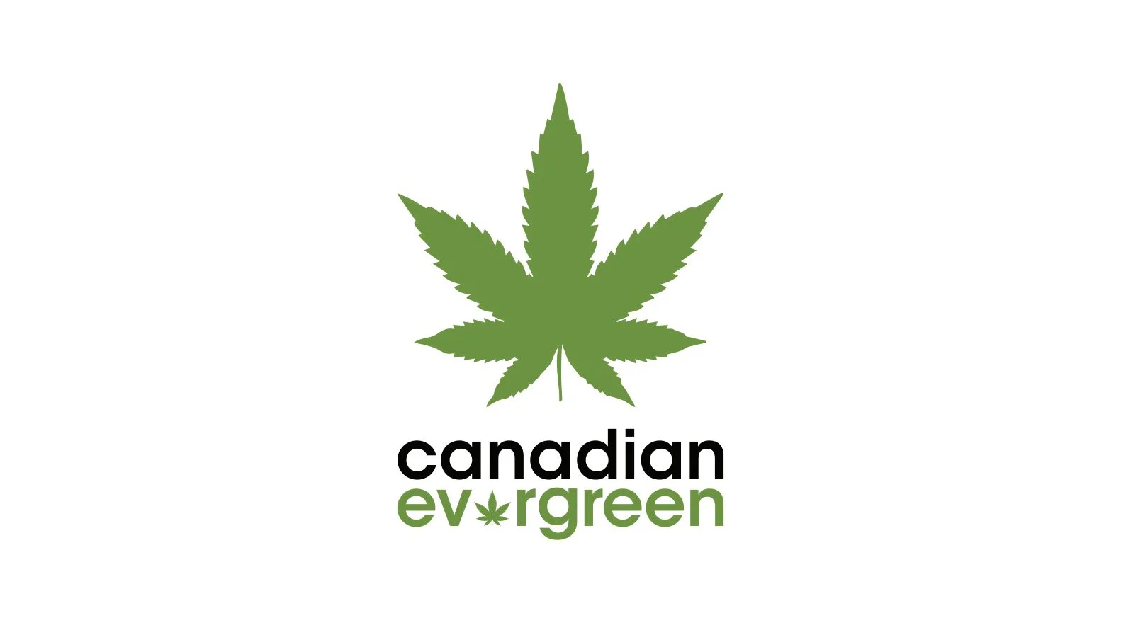 Gallery_CanadianEvergreen6.jpg