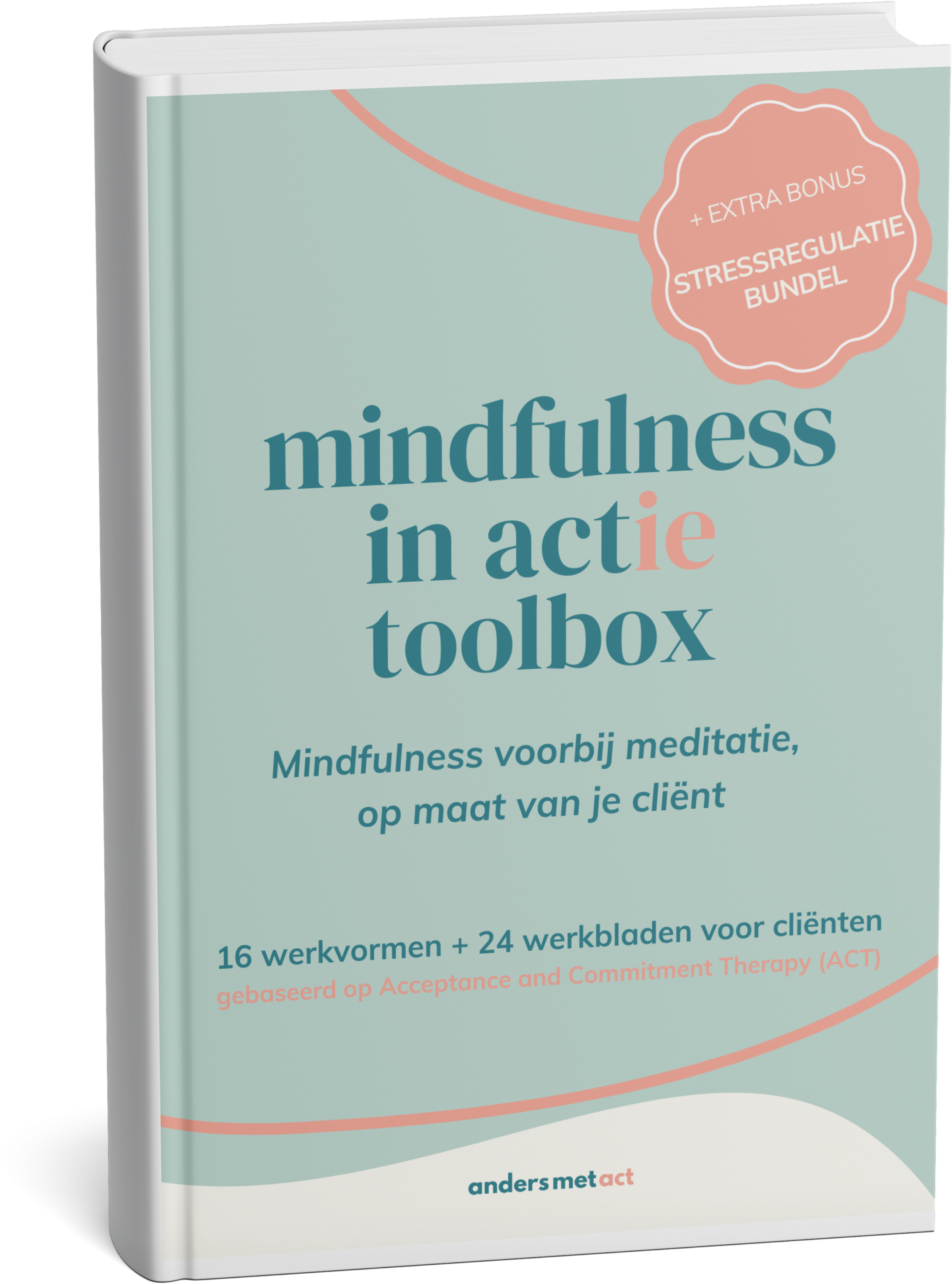 Een boek met de titel 'mindfulness in actie toolbox'.