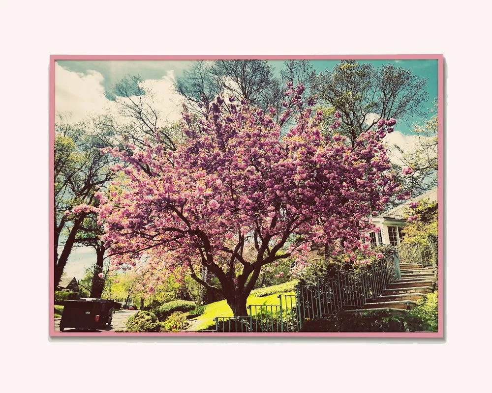 Pink Magic - Photography Print - Digital Download