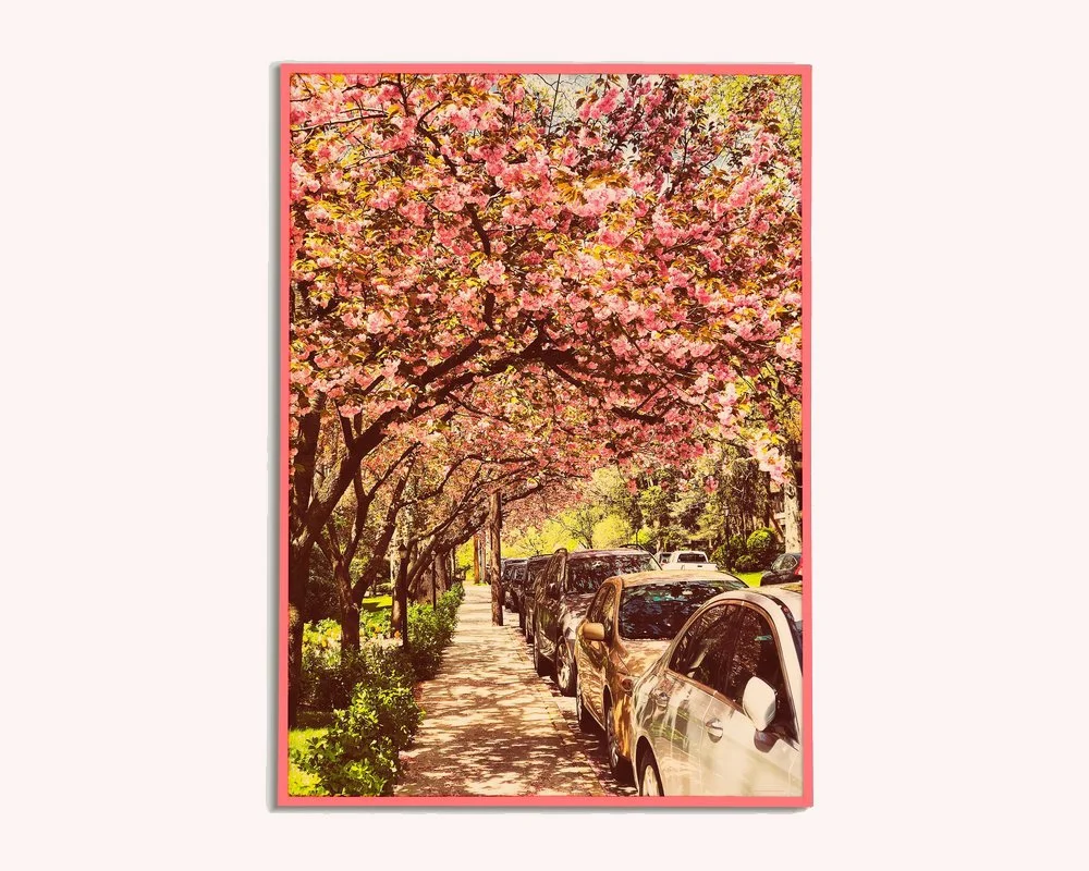 Pink Wonderland - Photography Print - Digital Download