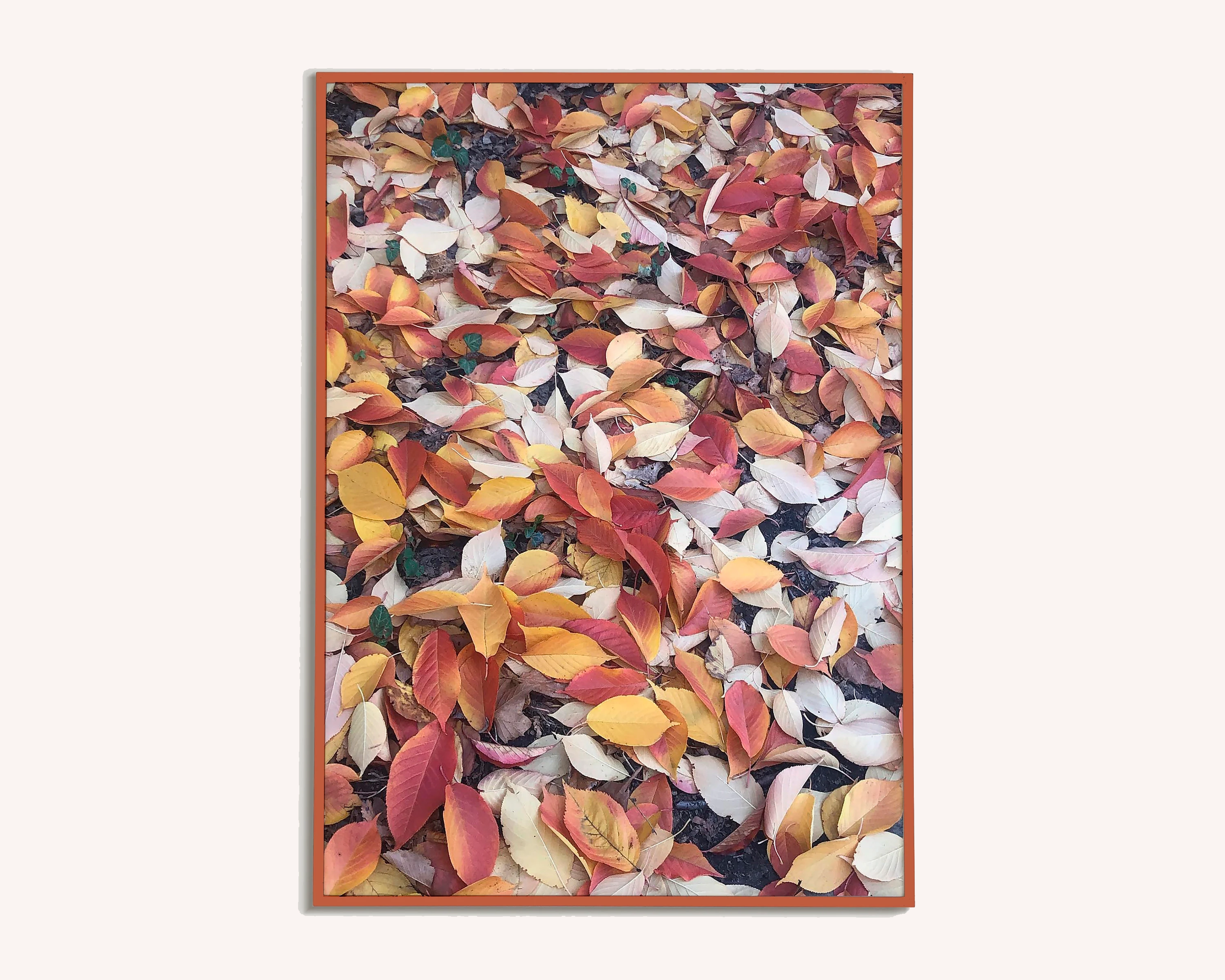 Autumn Leaves.png