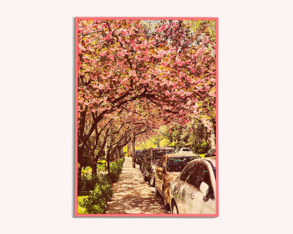 Pink+Wonderland.jpg