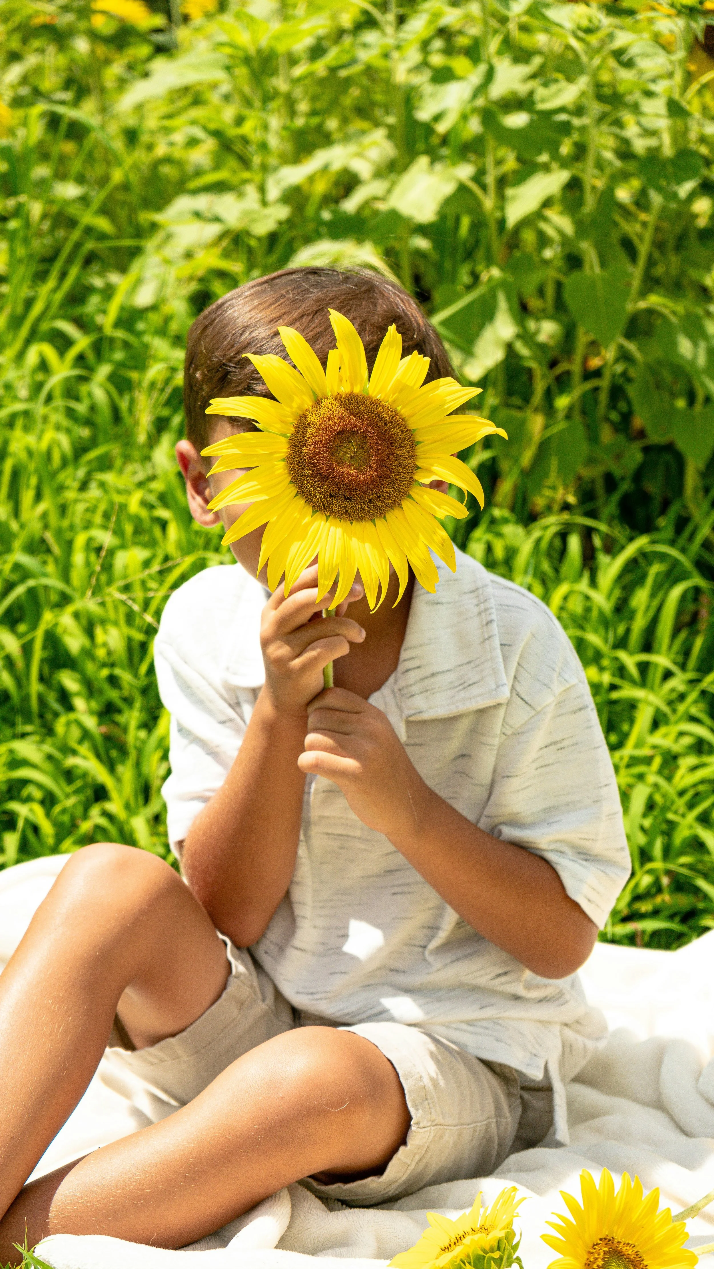 Child sitting outdoors on a blanket behind a large sunflower, obscuring their face, surrounded by greenery.