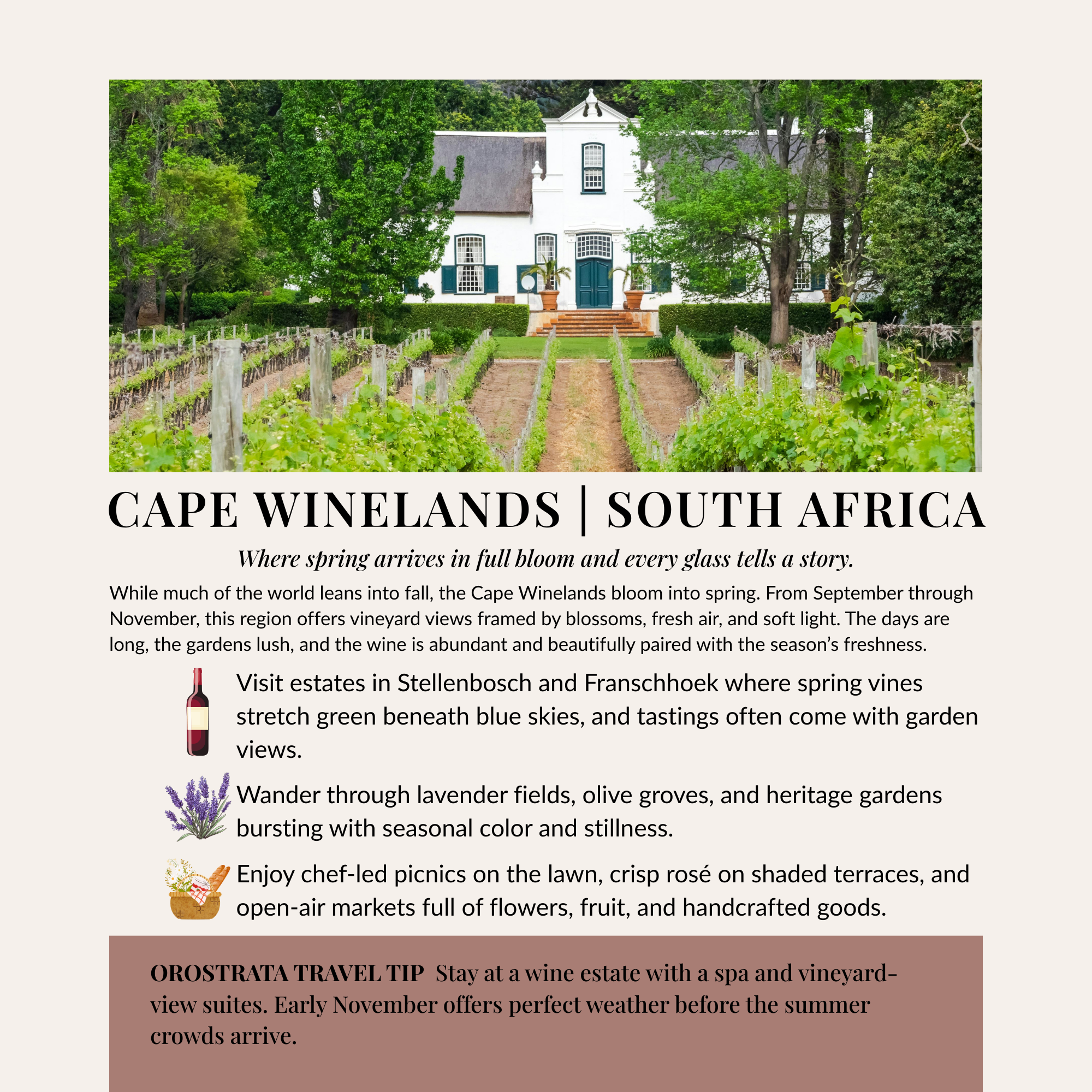 Cape Winelands, South Africa