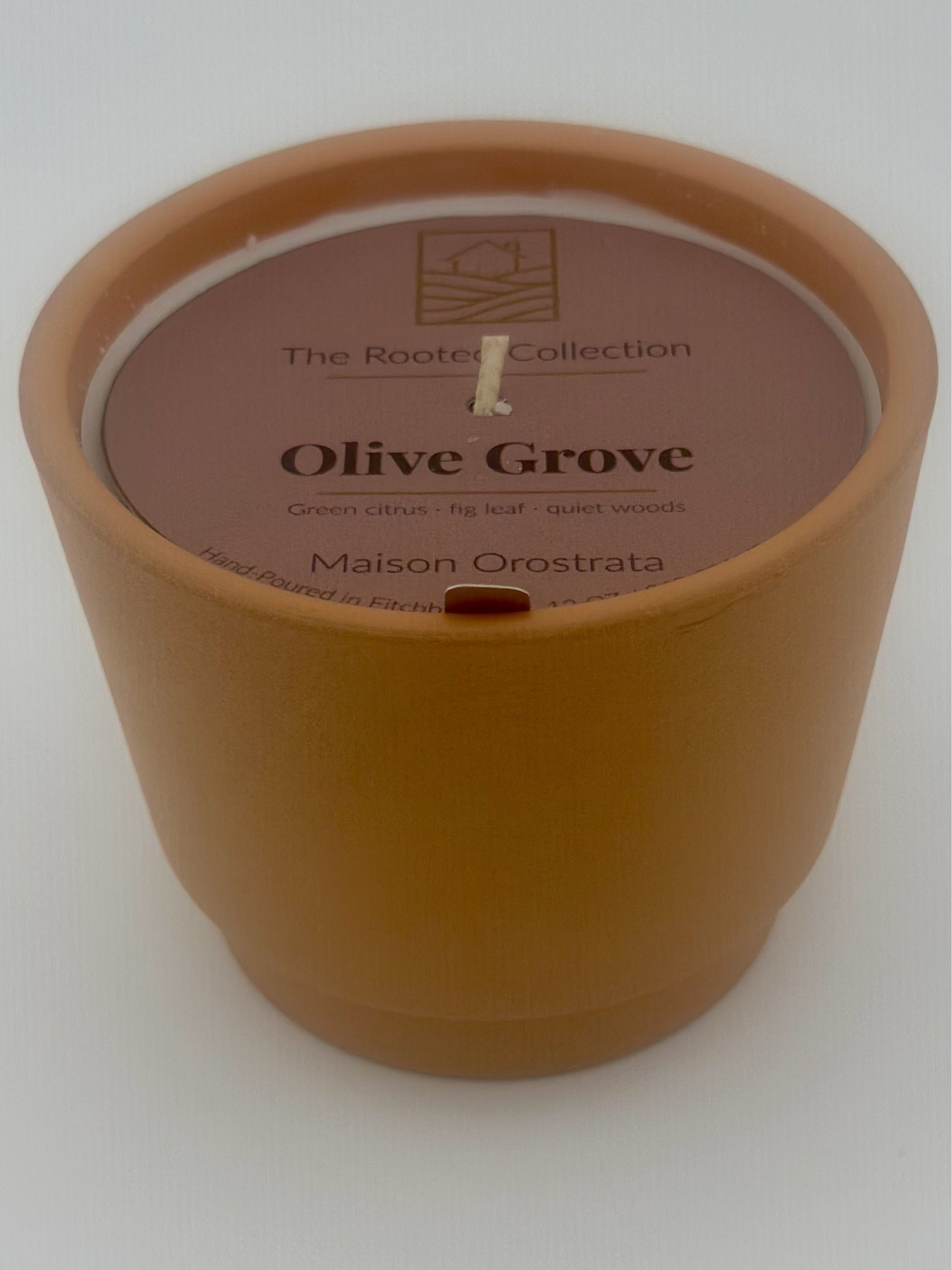 Olive Grove 2.jpg