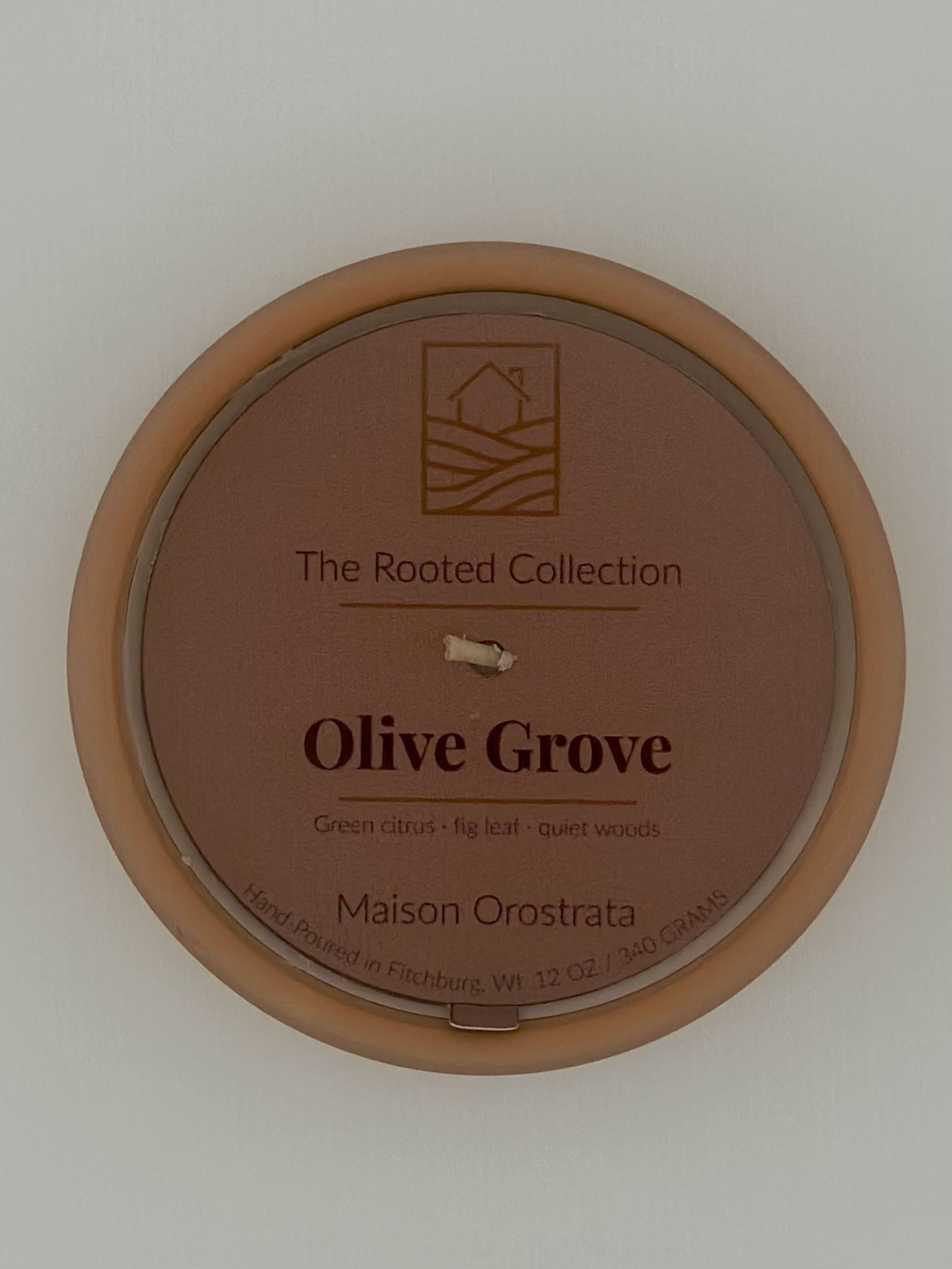 Olive Grove