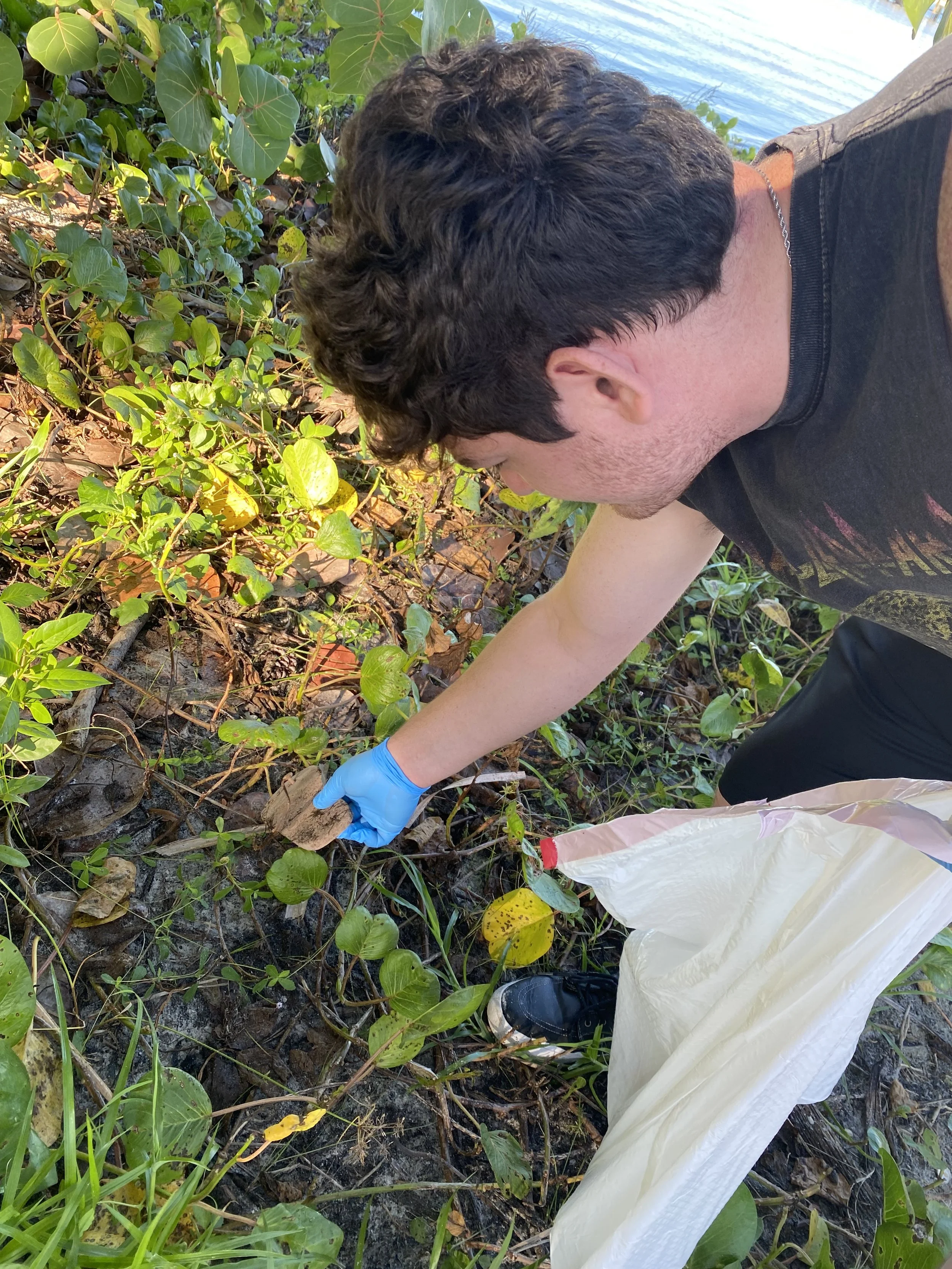 Bird Key Park Cleanup