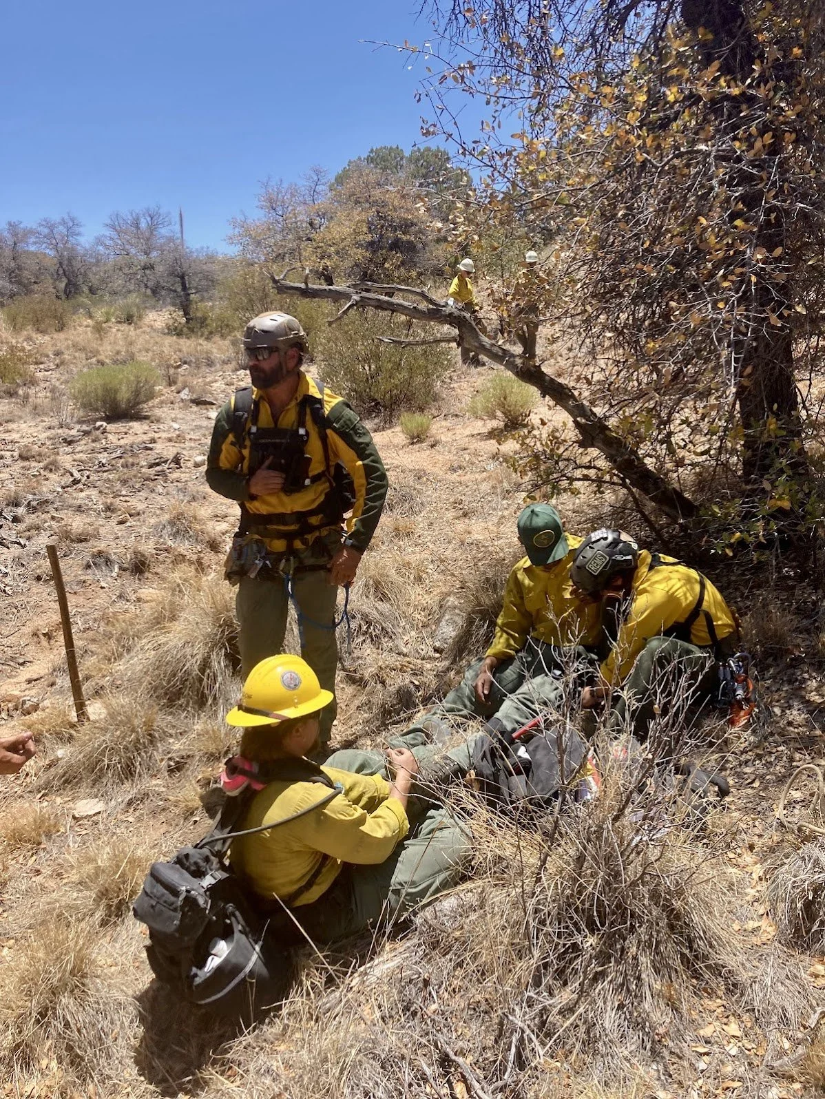 Helping a patient in the wilderness
