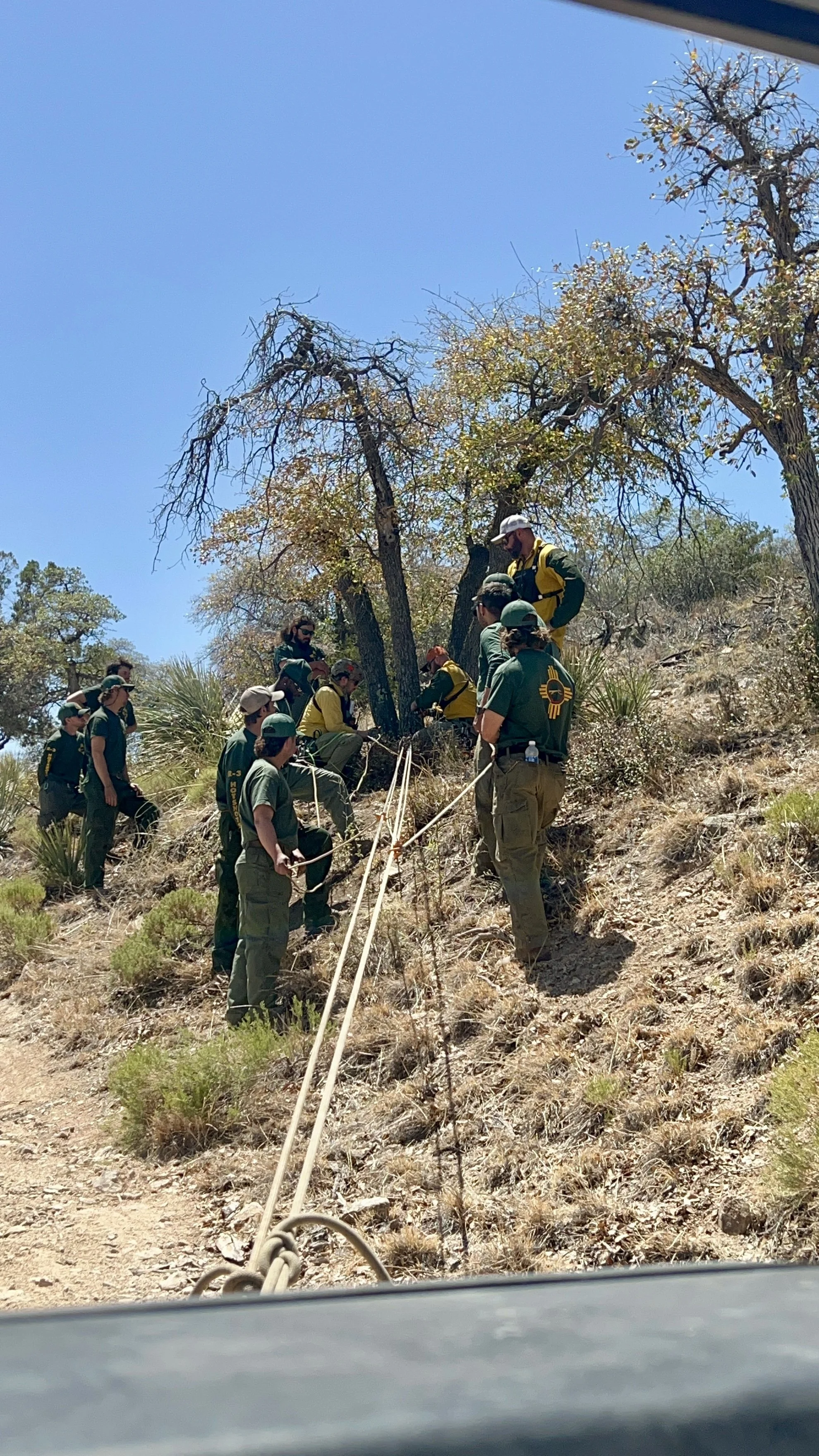 Rope rescue in action