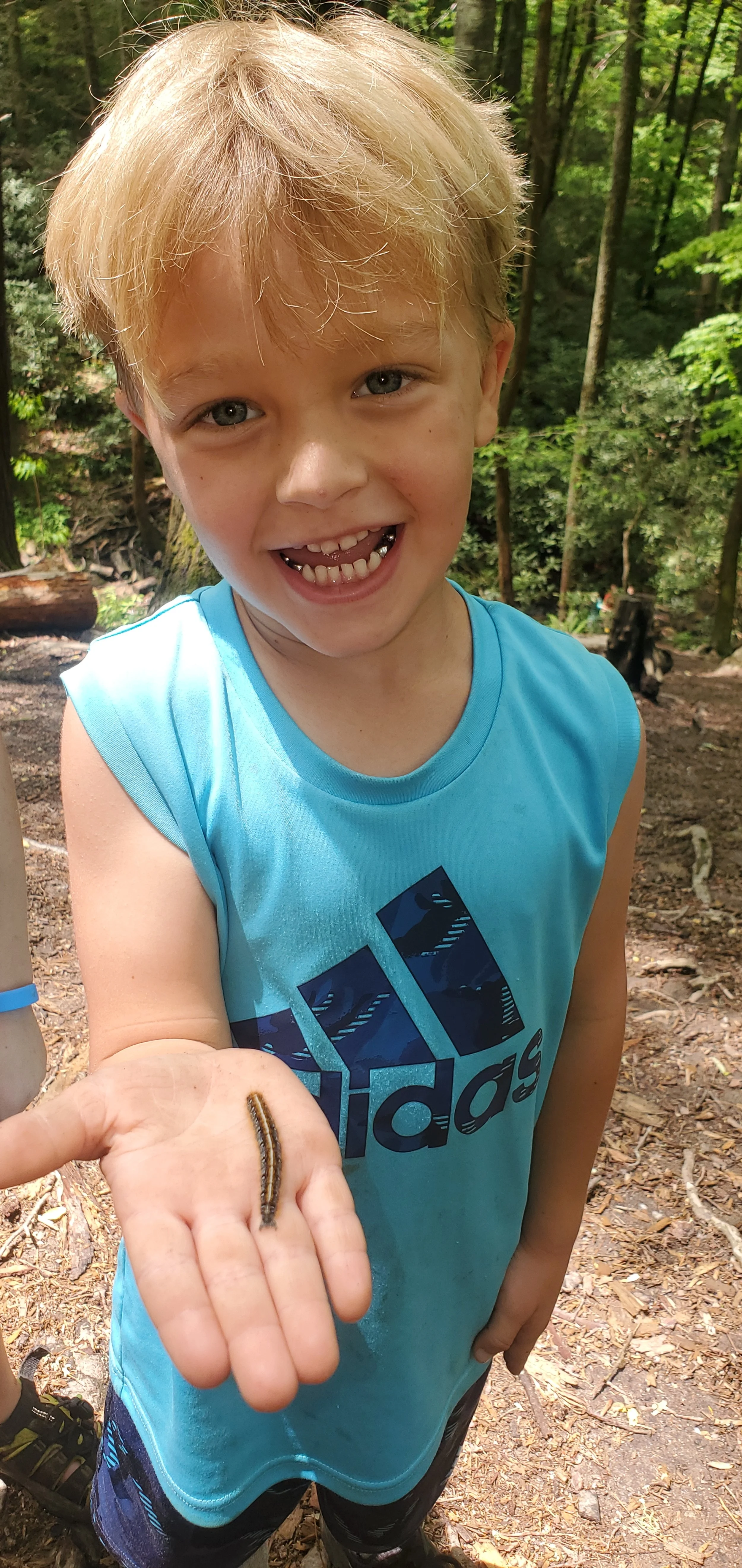 A young boy with blonde hair smiling and holding a caterpillar in his hand while standing outdoors in a forest.