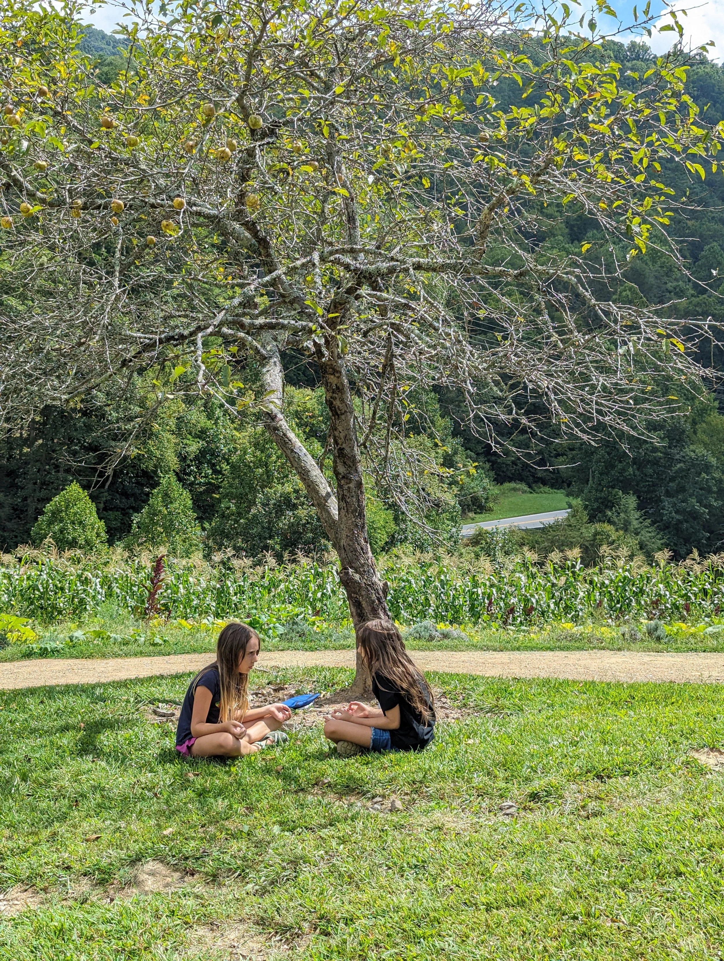 Two young girls sitting under a large tree in a grassy area, with a backdrop of fields and a road.