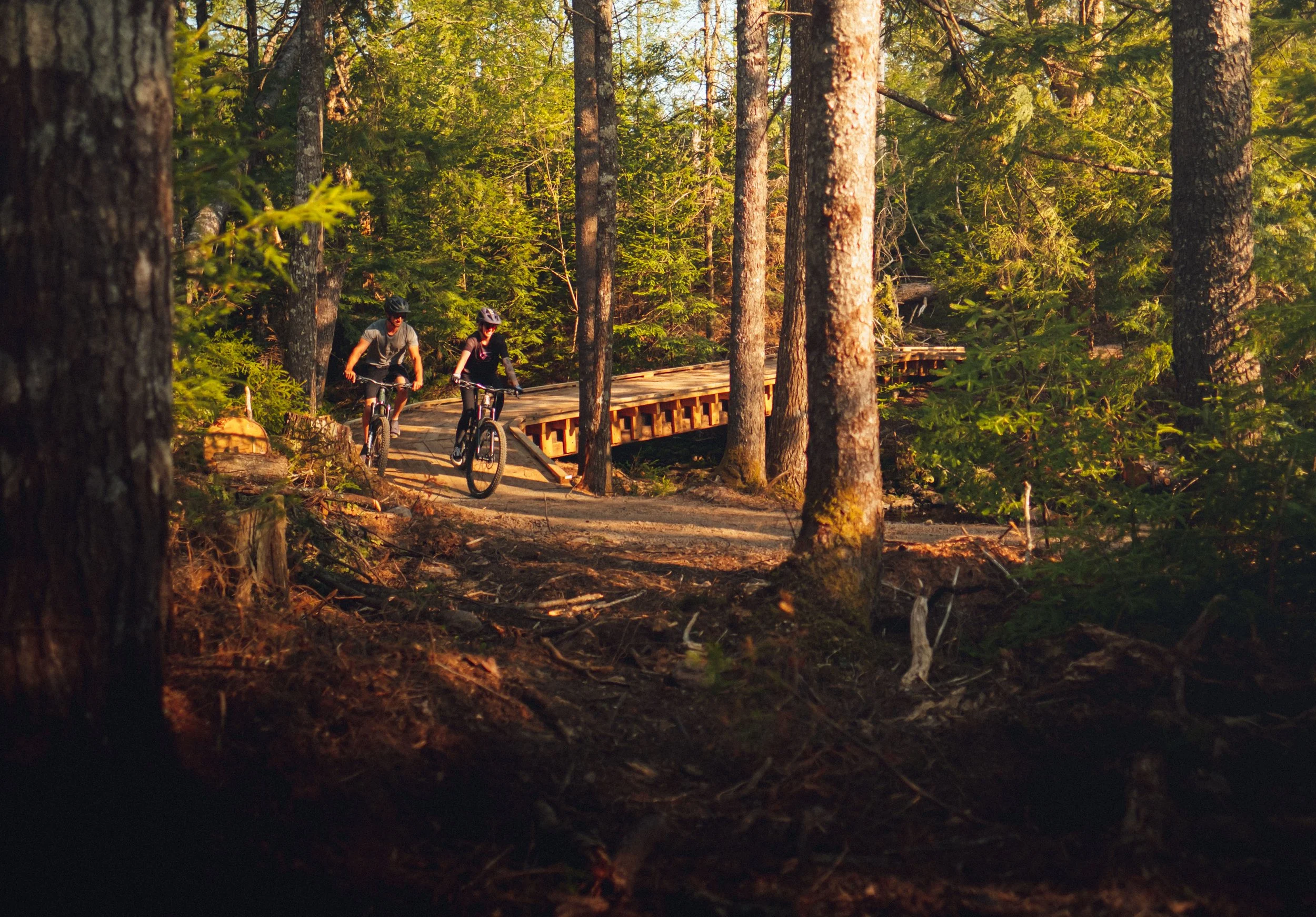 Mountain biking.jpg