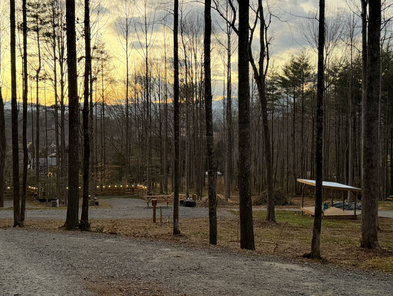 A wooded outdoor area at sunset with bare trees, a gravel path, and a small wooden pavilion on the right side.