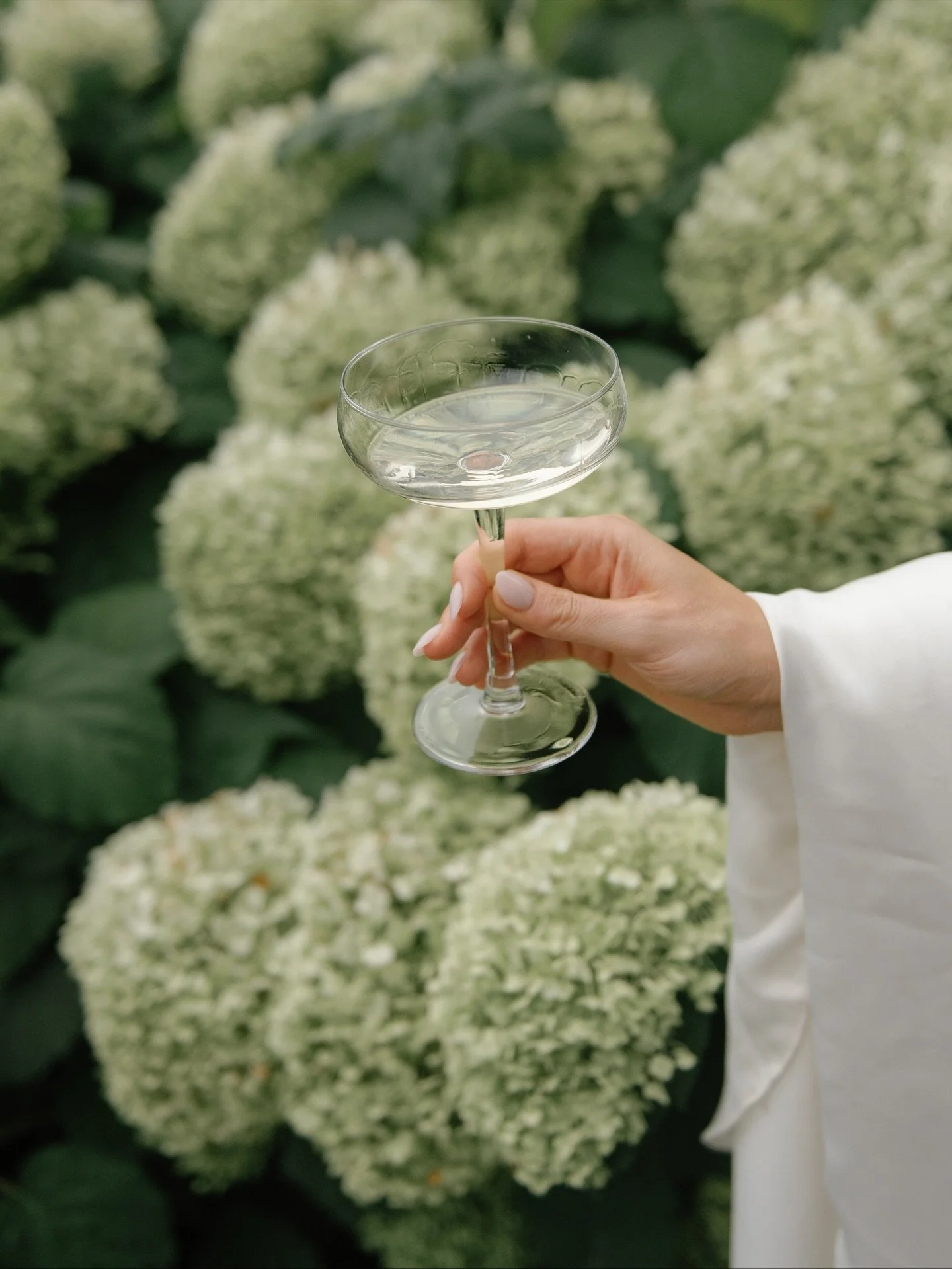 those picture perfect details 🕊️

Venue @sandpiperresort
Photographer @kaoverii_silva
2nd Photographer @yukischell.photography
Florist @begfloral
HMUA @rose.quartzbeauty
Decor @valleyweddings