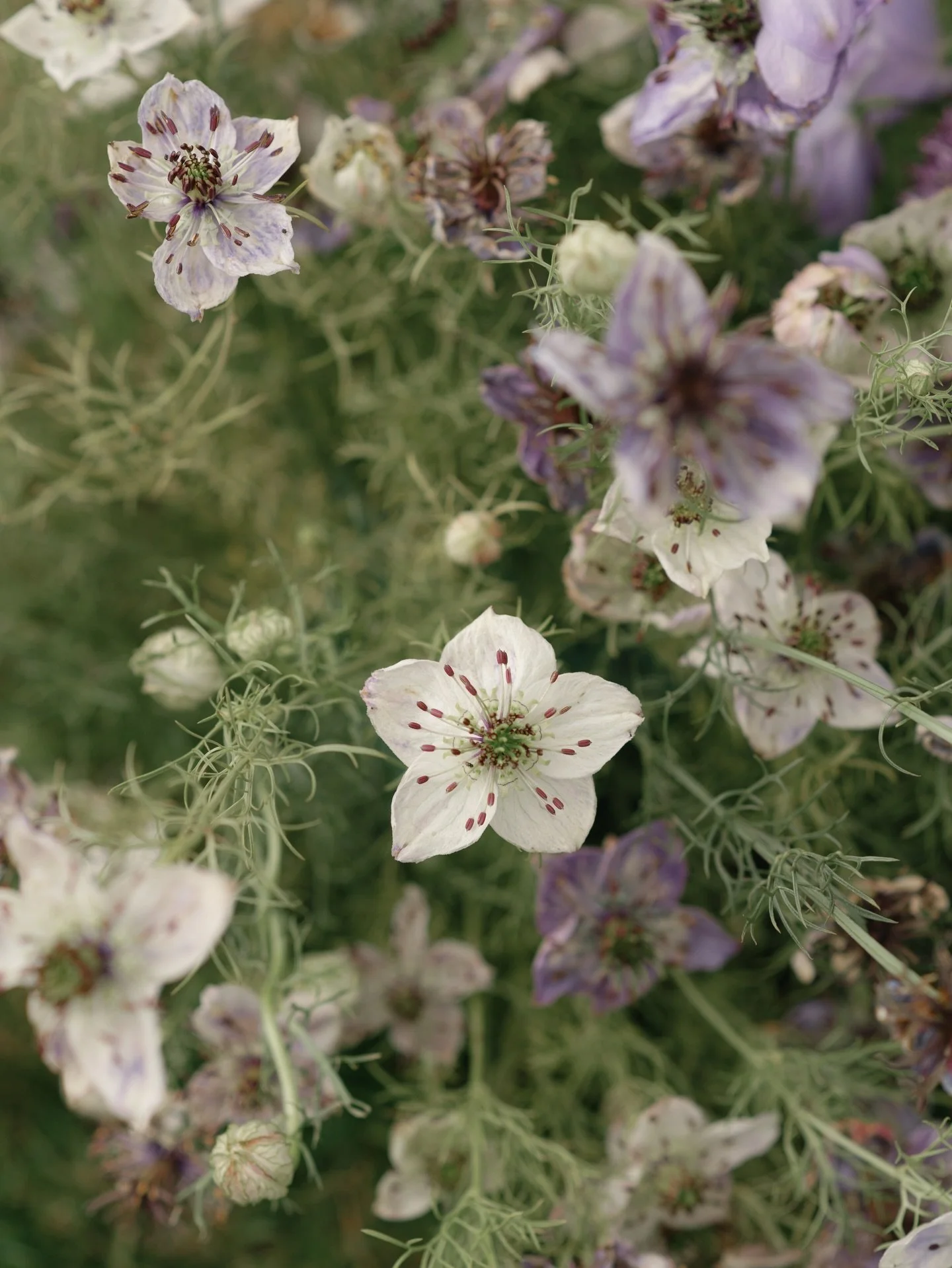Real moments and real love 🤍

Vendors:
Planner @dreamgroupplanners
Photographer @kaoverii_silva @by.breezyphotography
Venue @hycroftuwcv
Officiant @vanofficiant
Florals @floral_mood_design
Ceremony Music @musicaloccasions
HMUA @amore.bybea
Rentals @