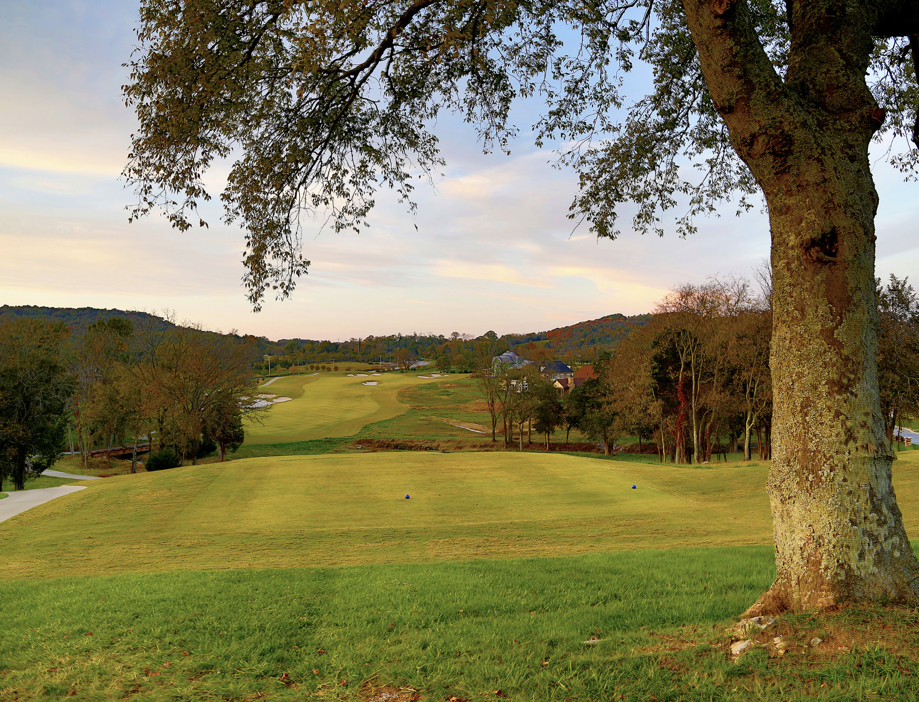 Screenshot 2025-06-03 at 2.53.26 PM.png