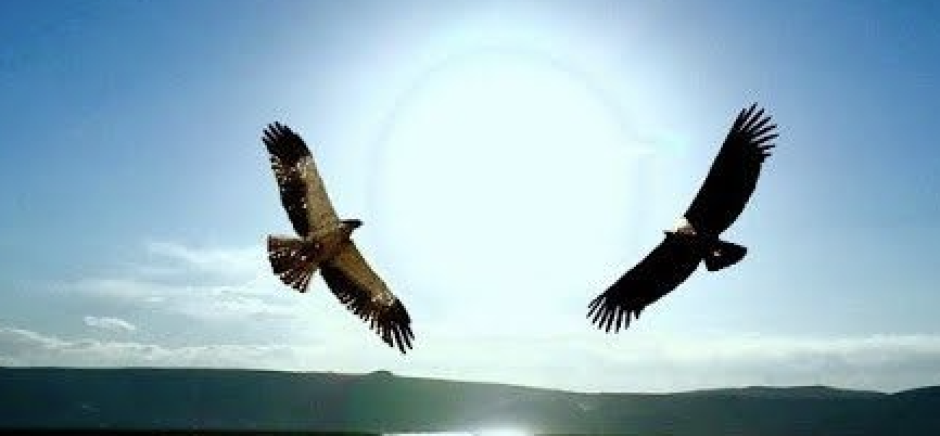 Choisir le chemin de la paix : répondre à l’appel de notre temps