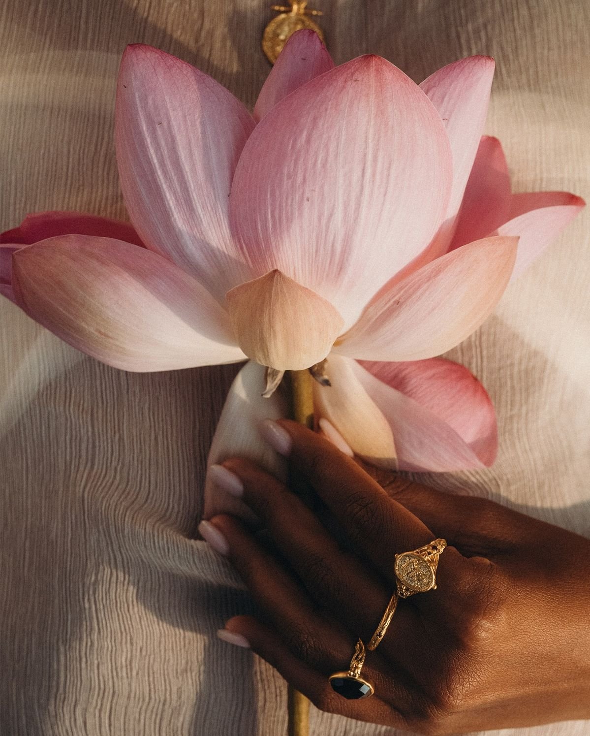 Honorer son féminin : revenir au rythme du vivant