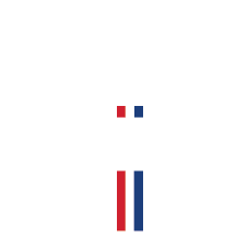 RAAM3.png