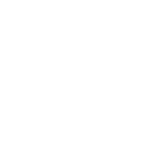 SFP4.png
