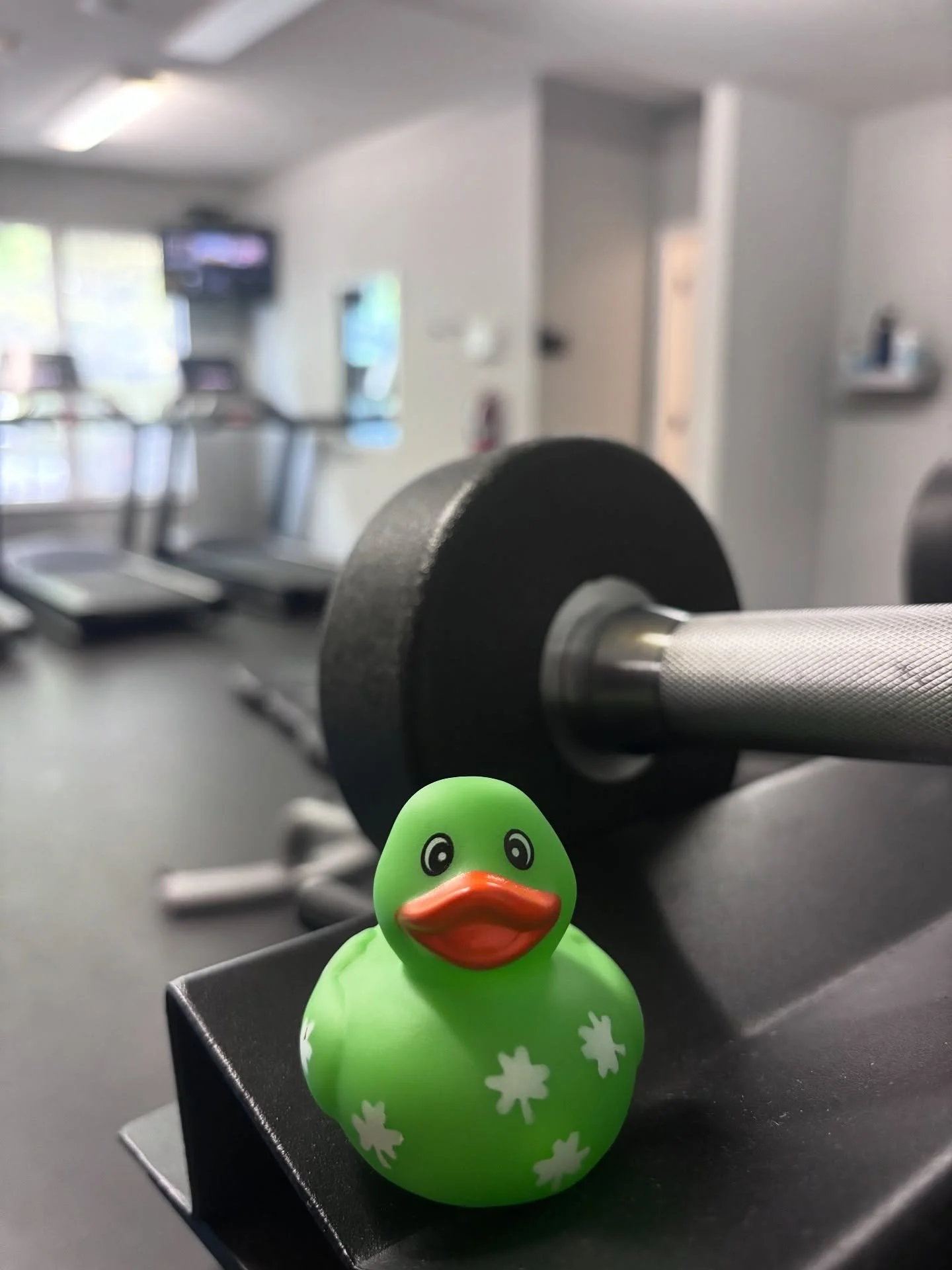 Hey Friends! 

It&rsquo;s game time and we&rsquo;re bringing the fun right here to Irish Row! We&rsquo;ve hidden 12 ducks throughout the property - and each one comes with a special prize! 🎁

But that&rsquo;s not all&hellip; one extra-special duck i