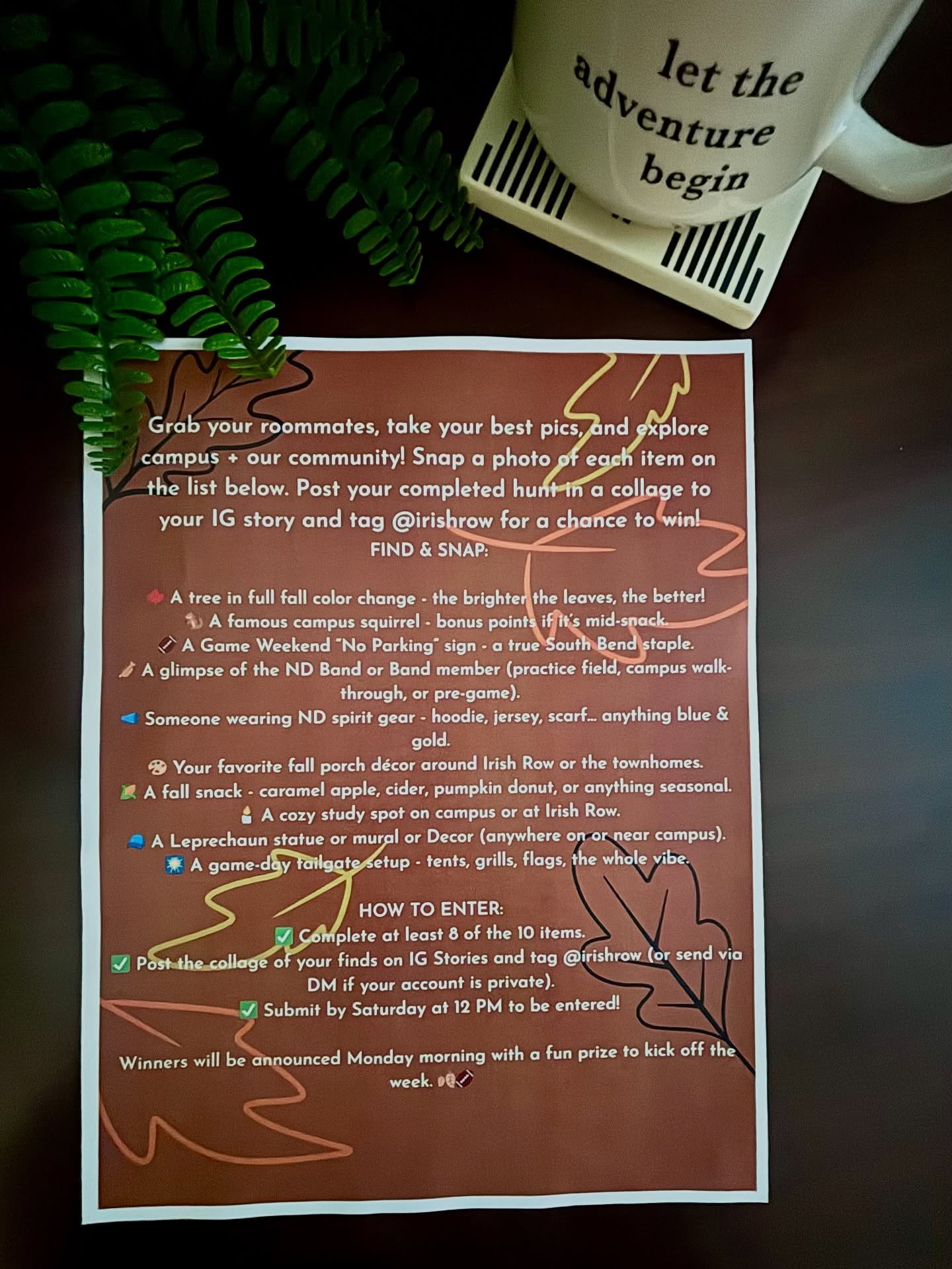 🍂 Irish Row Fall Scavenger Hunt is LIVE! 🍂

Grab your roomies, head outside, and start searching for all the fall + home game weekend gems around campus and Irish Row!

Be on the lookout for things like&hellip;
🍂 A tree in full color change
🐿️ A 