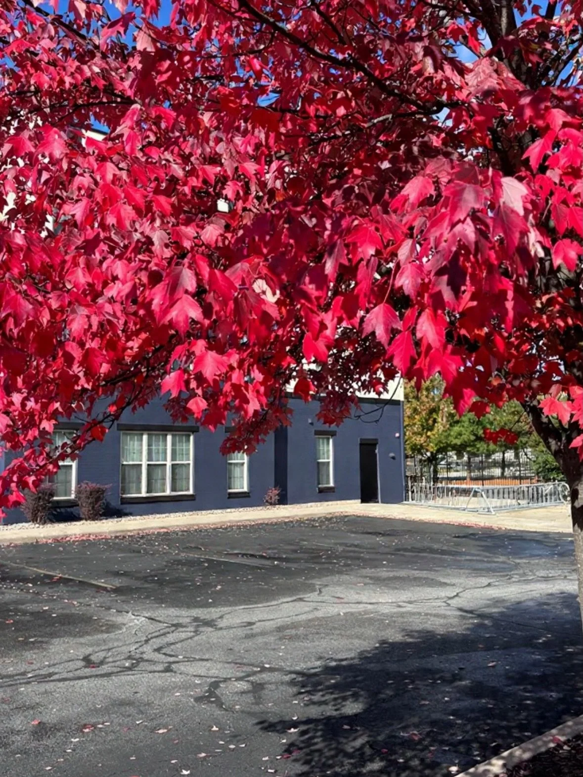 🚦🚧PARKING, PARKING, PARKING 🚧🚦

Starting next year, parking will be a paid amenity at Irish Row &mdash; but don&rsquo;t worry! If you sign your lease for 2026/2027 or 2027/2028 BEFORE the end of November, you will lock in FREE parking for your en