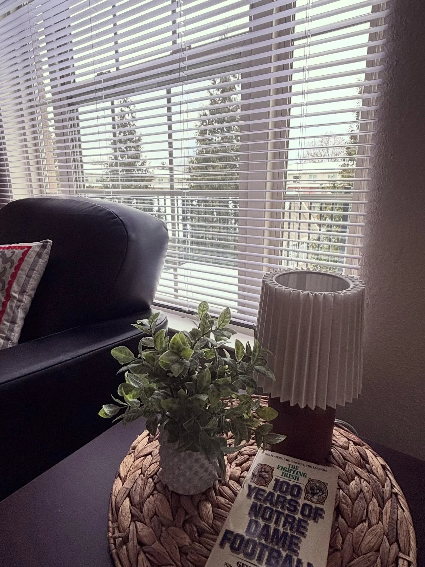 It may be below zero outside, but the deals for 26/27 are anything but cold. 

Secure a cozy townhome and enjoy waived application and admin fees for a total savings of $410! 

PLUS free parking for your entire lease term! 

Townhomes for 26/27 are H