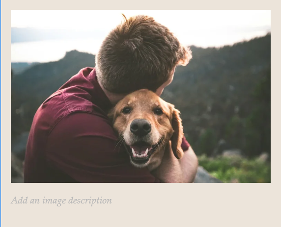Διάταση και Στροφή Στομάχου στον σκύλο