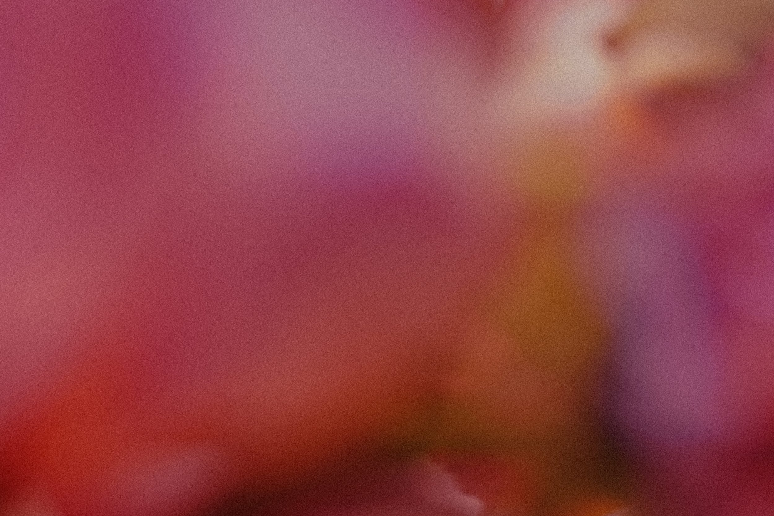 Individual Talk Therapy