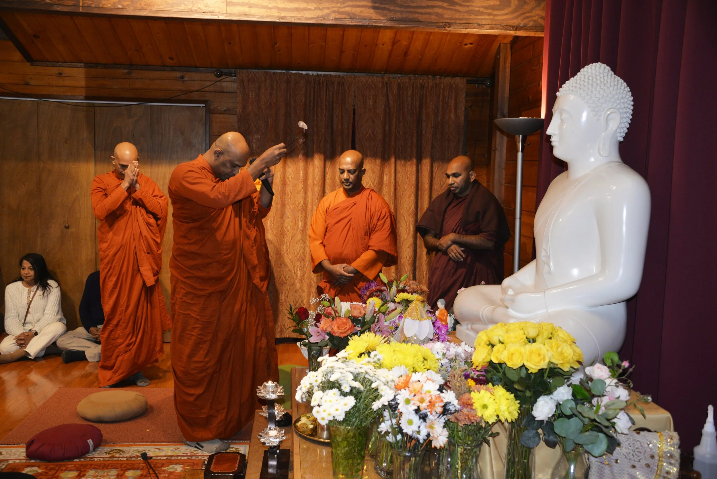 _DSC7208.jpg